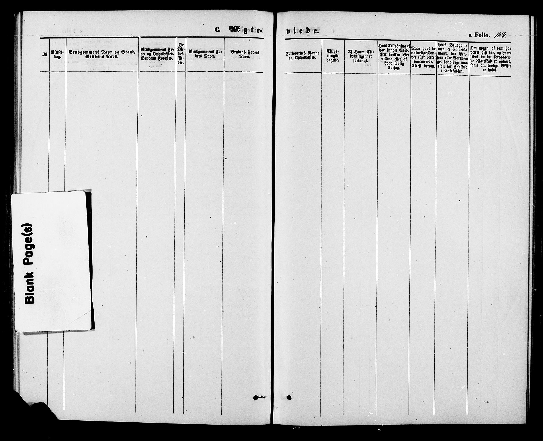 Herefoss sokneprestkontor, AV/SAK-1111-0019/F/Fa/Fab/L0003: Parish register (official) no. A 3, 1875-1886, p. 163