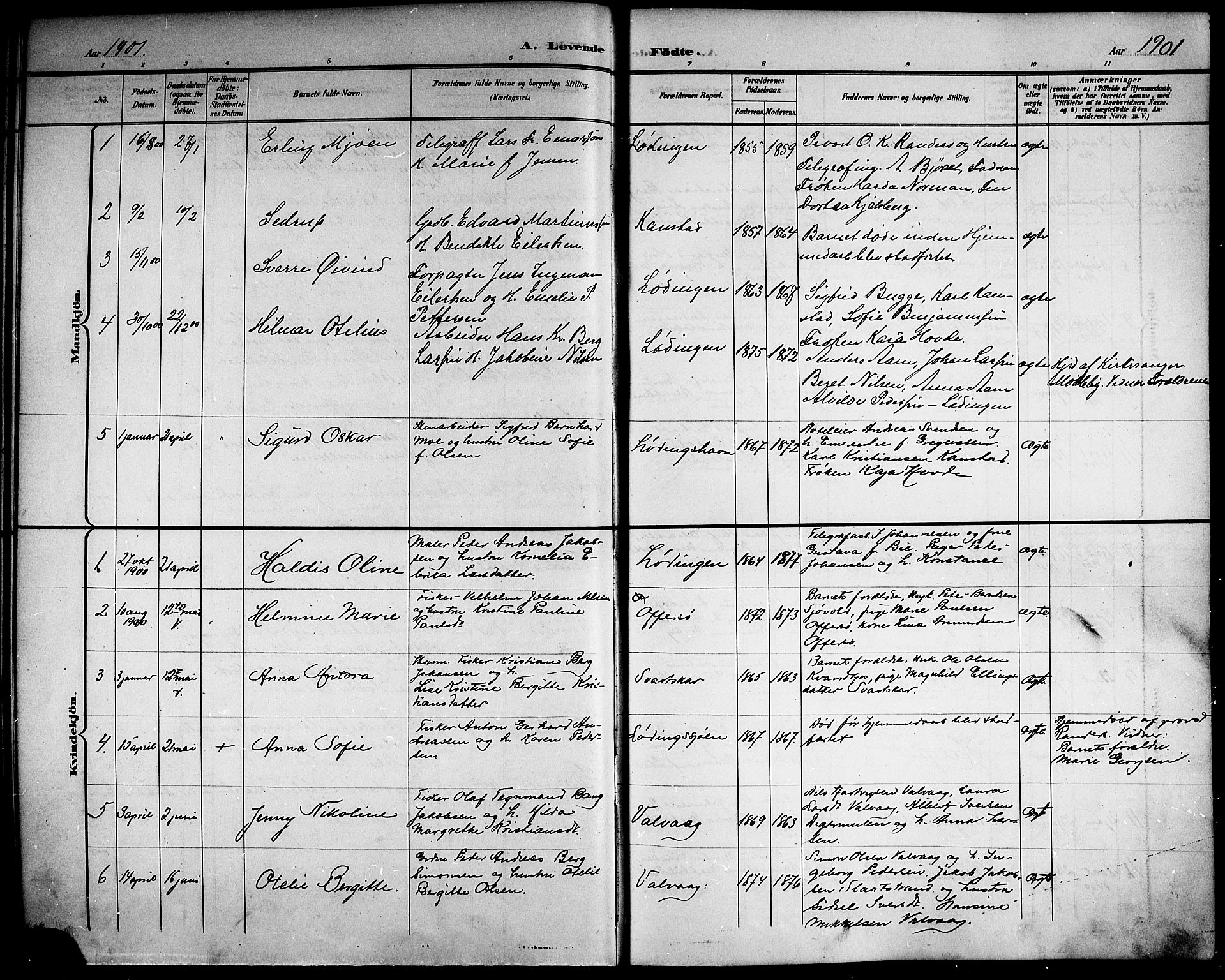 Ministerialprotokoller, klokkerbøker og fødselsregistre - Nordland, SAT/A-1459/872/L1048: Parish register (copy) no. 872C04, 1898-1919