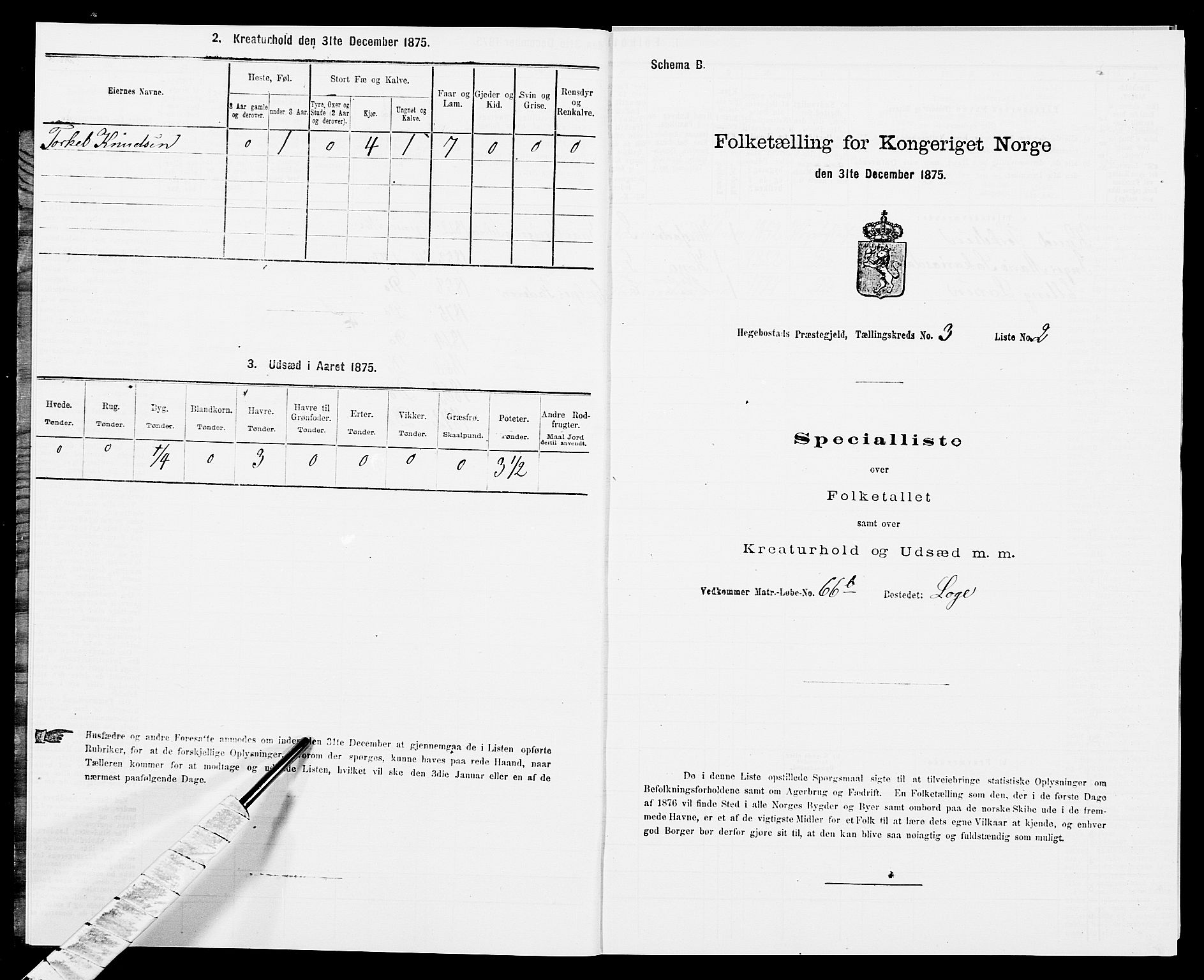SAK, 1875 census for 1034P Hægebostad, 1875, p. 203