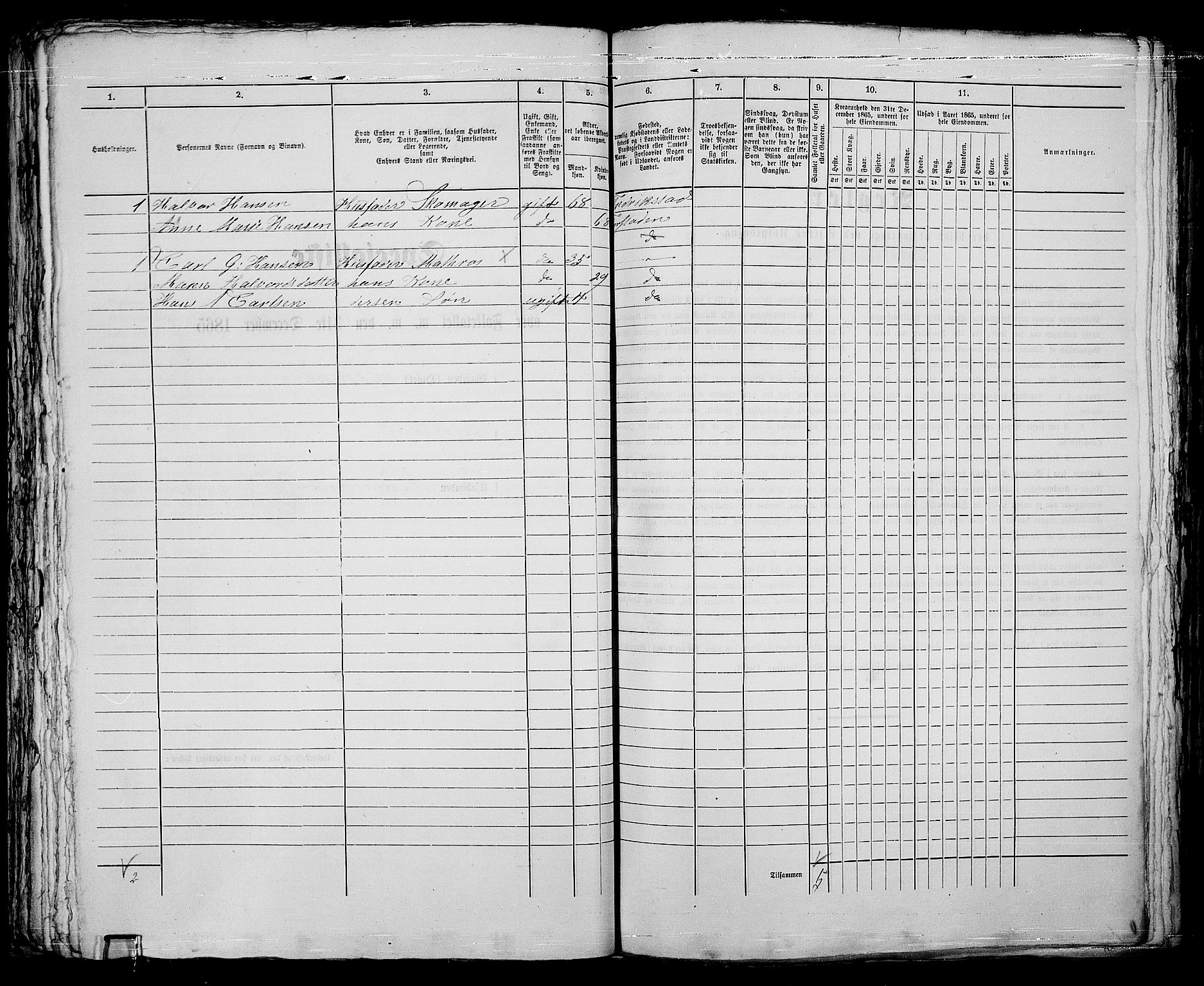 RA, 1865 census for Fredrikstad/Fredrikstad, 1865, p. 513