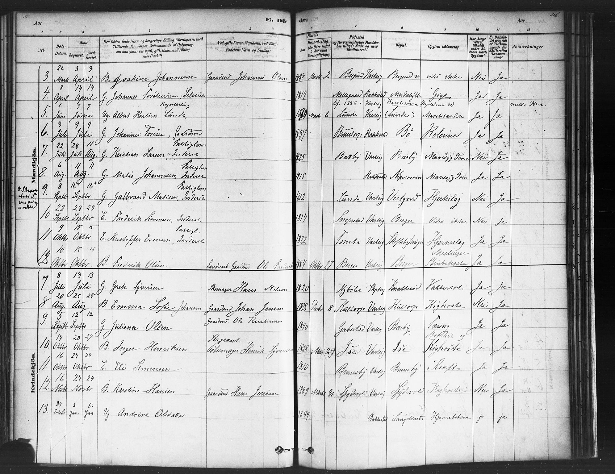 Varteig prestekontor Kirkebøker, SAO/A-10447a/F/Fa/L0002: Parish register (official) no. 2, 1878-1899, p. 216