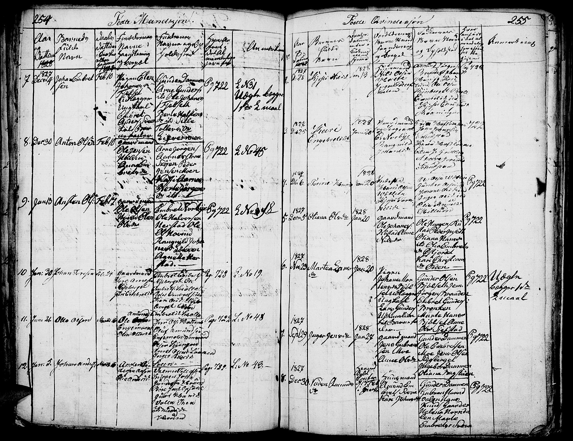 Elverum prestekontor, AV/SAH-PREST-044/H/Ha/Hab/L0001: Parish register (copy) no. 1, 1815-1829, p. 254-255