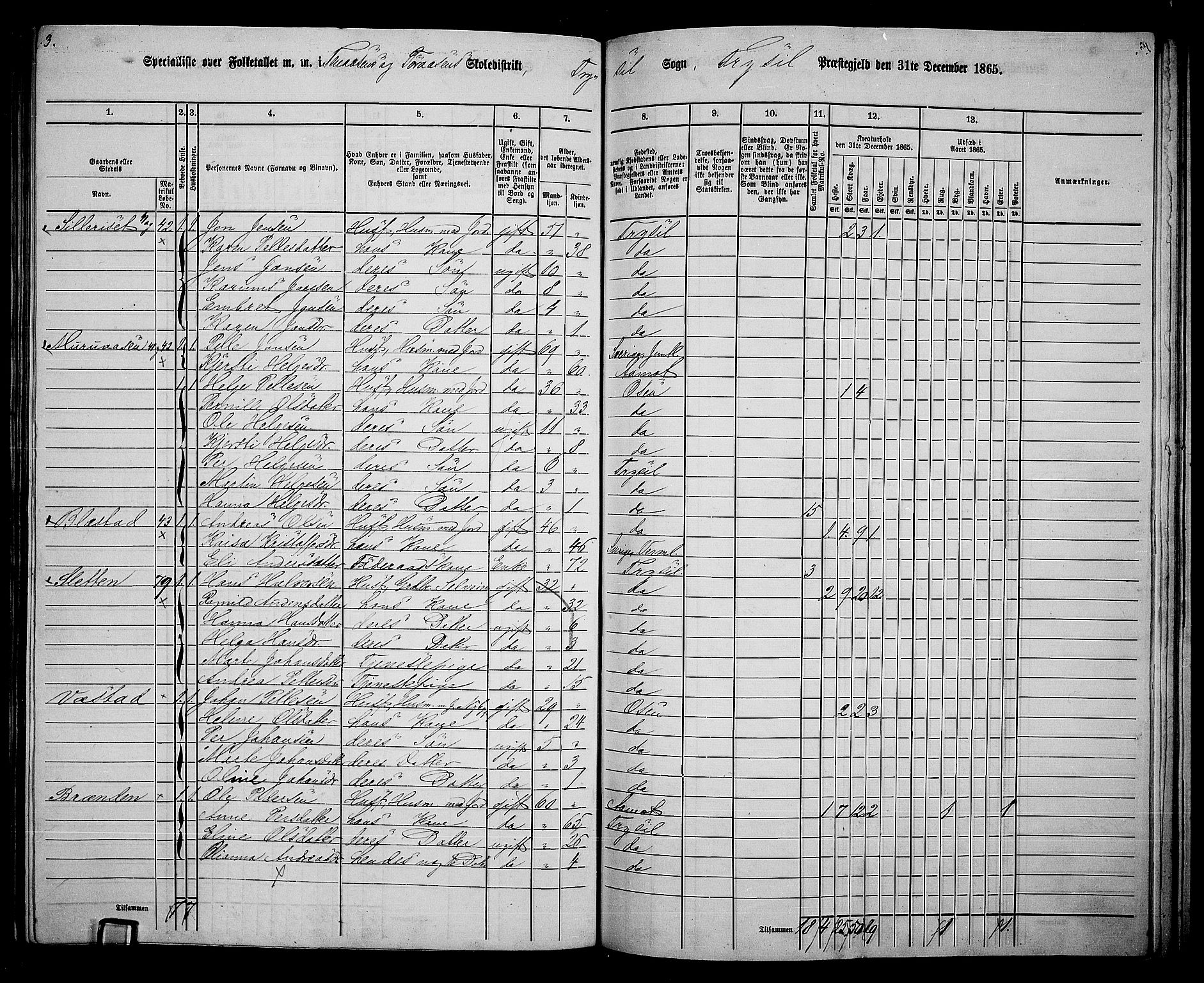 RA, 1865 census for Trysil, 1865, p. 149