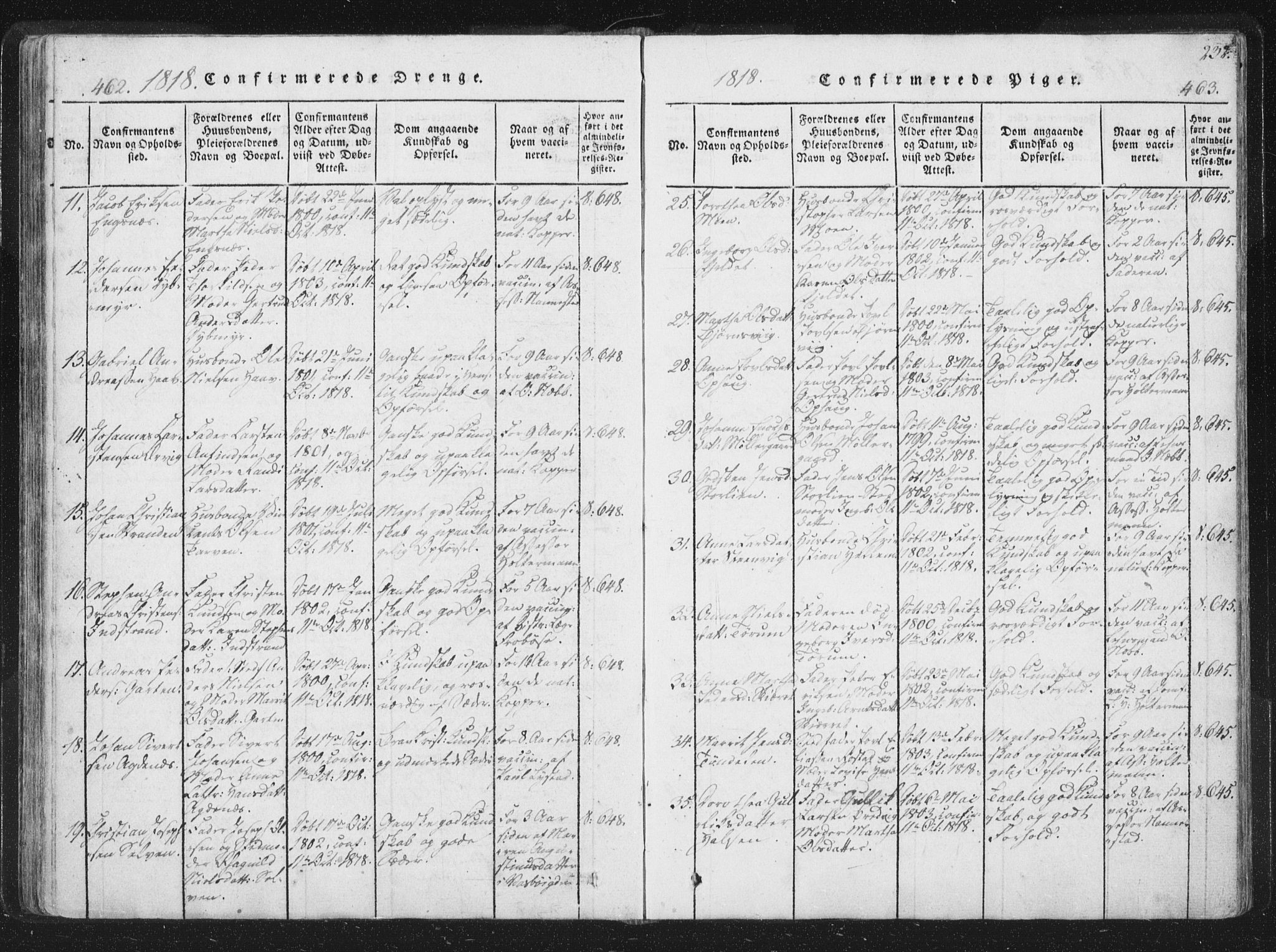 Ministerialprotokoller, klokkerbøker og fødselsregistre - Sør-Trøndelag, AV/SAT-A-1456/659/L0734: Parish register (official) no. 659A04, 1818-1825, p. 462-463