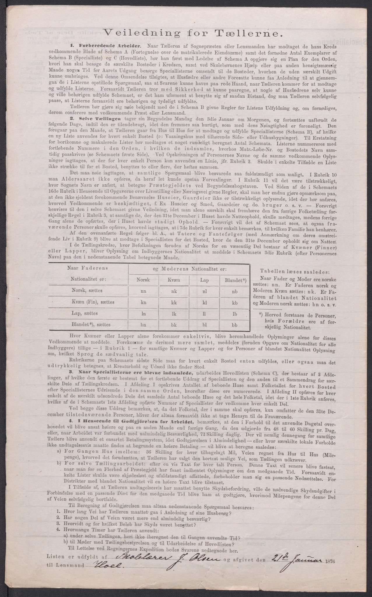 RA, 1875 census for 0238P Nannestad, 1875, p. 12