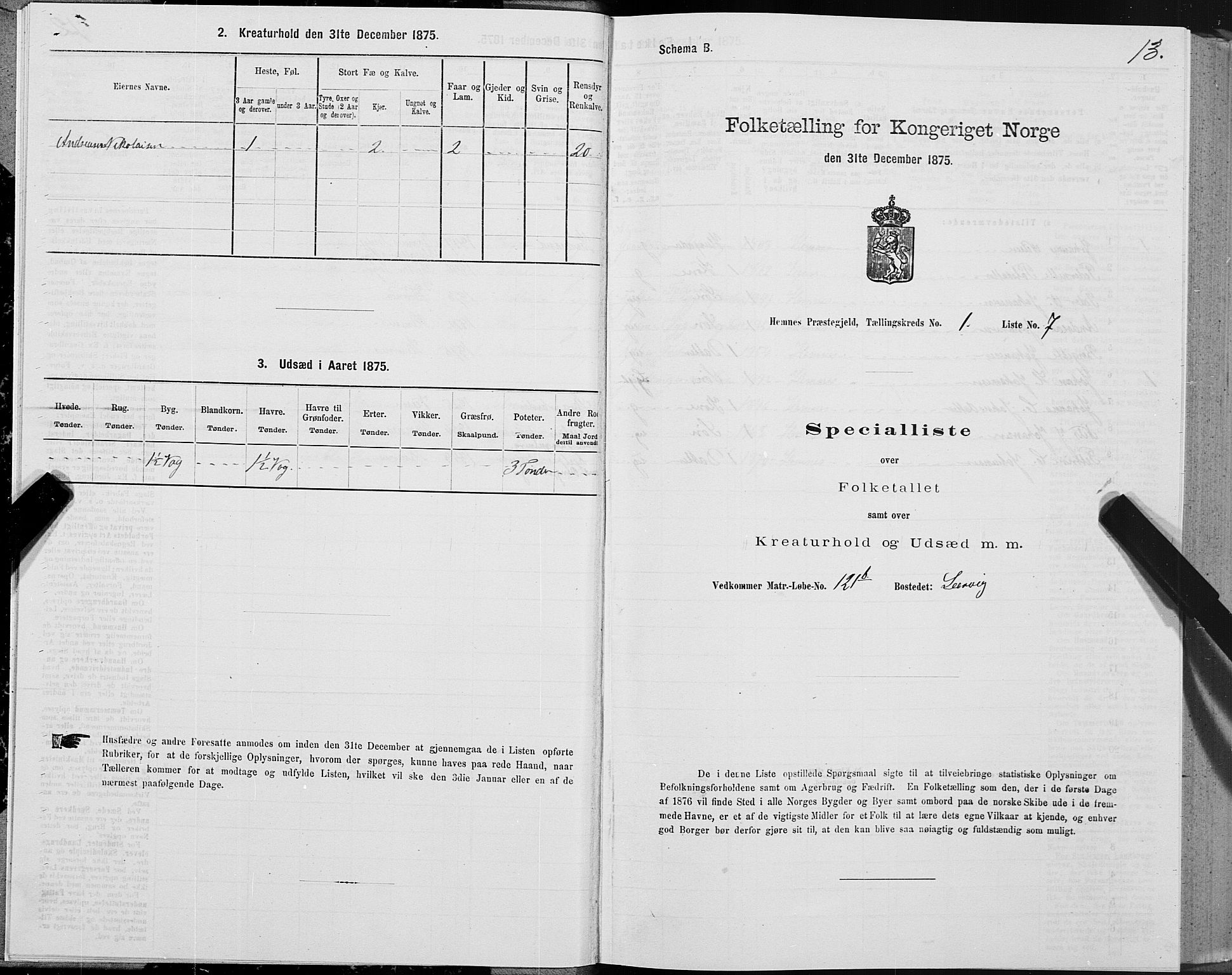 SAT, 1875 census for 1832P Hemnes, 1875, p. 1013