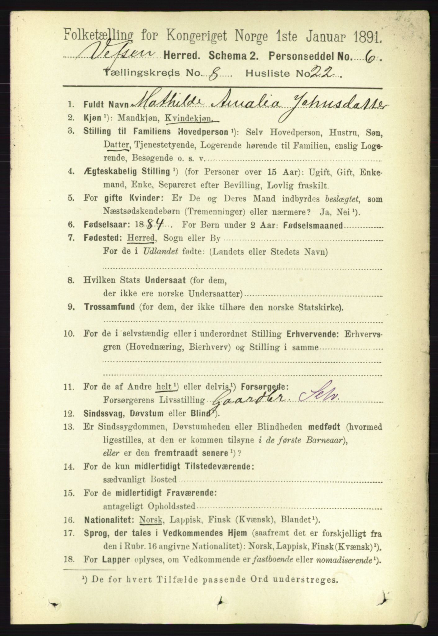 RA, 1891 census for 1824 Vefsn, 1891, p. 4395