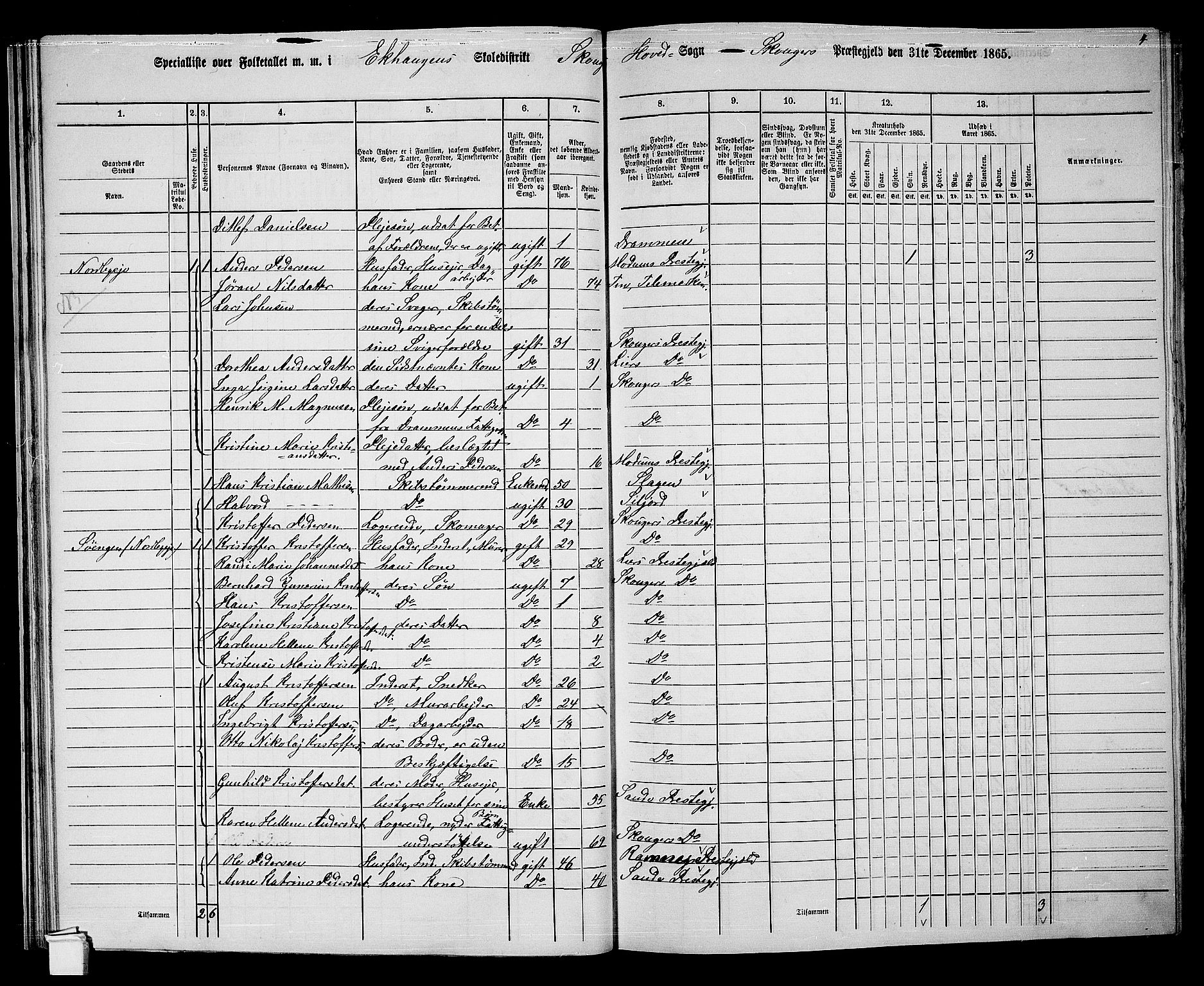 RA, 1865 census for Skoger, 1865, p. 42