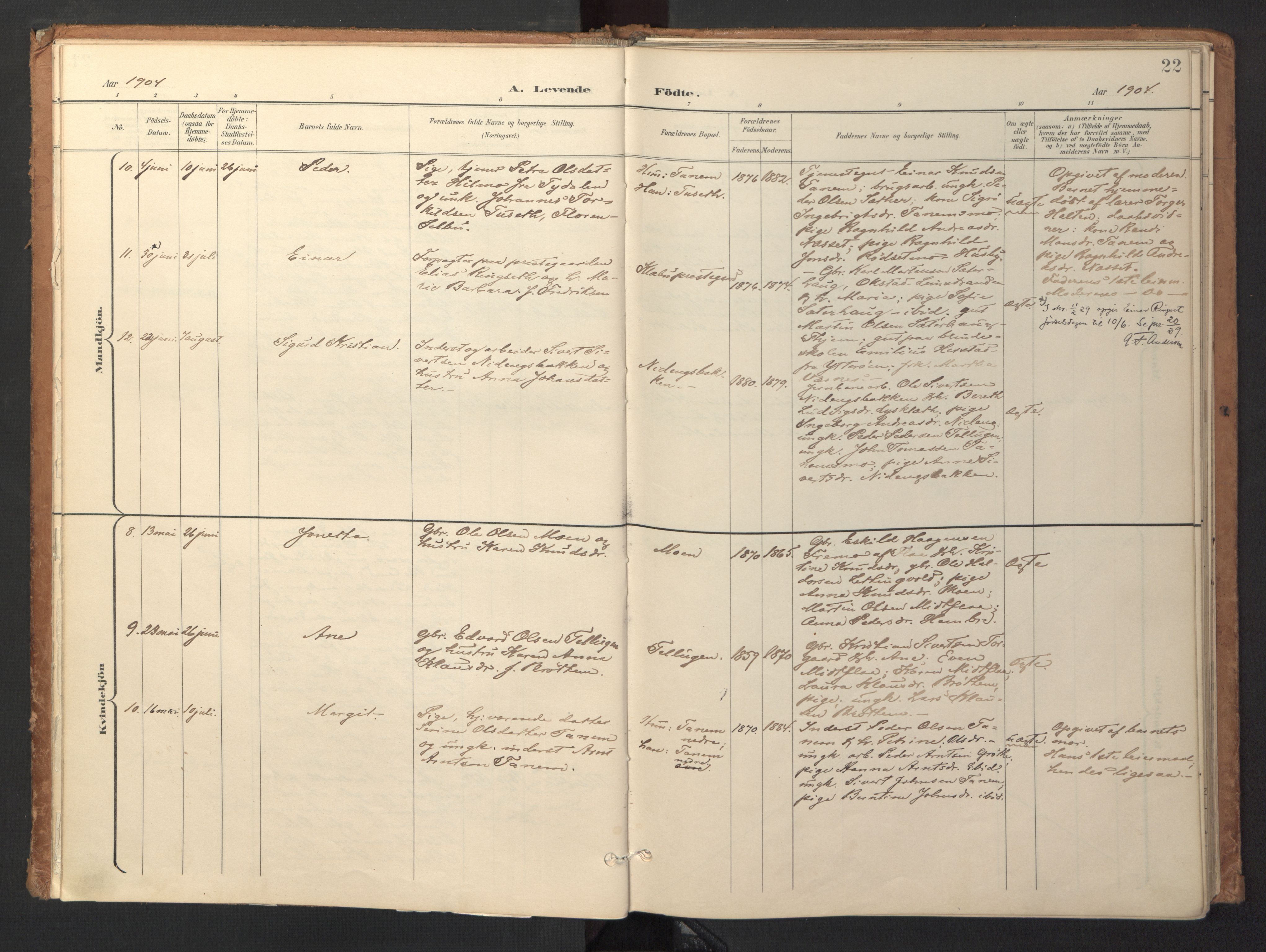 Ministerialprotokoller, klokkerbøker og fødselsregistre - Sør-Trøndelag, AV/SAT-A-1456/618/L0448: Parish register (official) no. 618A11, 1898-1916, p. 22