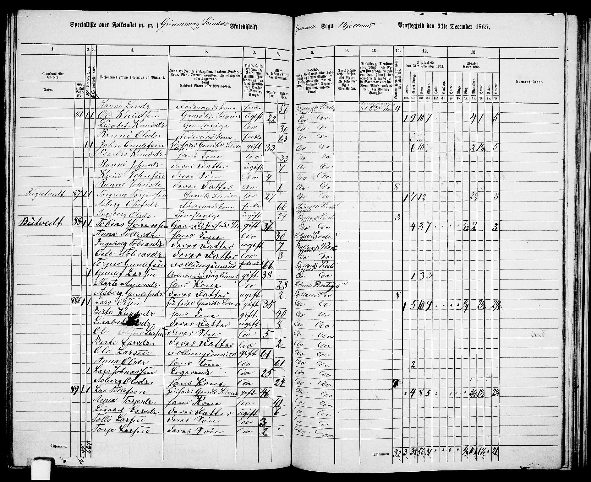 RA, 1865 census for Bjelland, 1865, p. 69