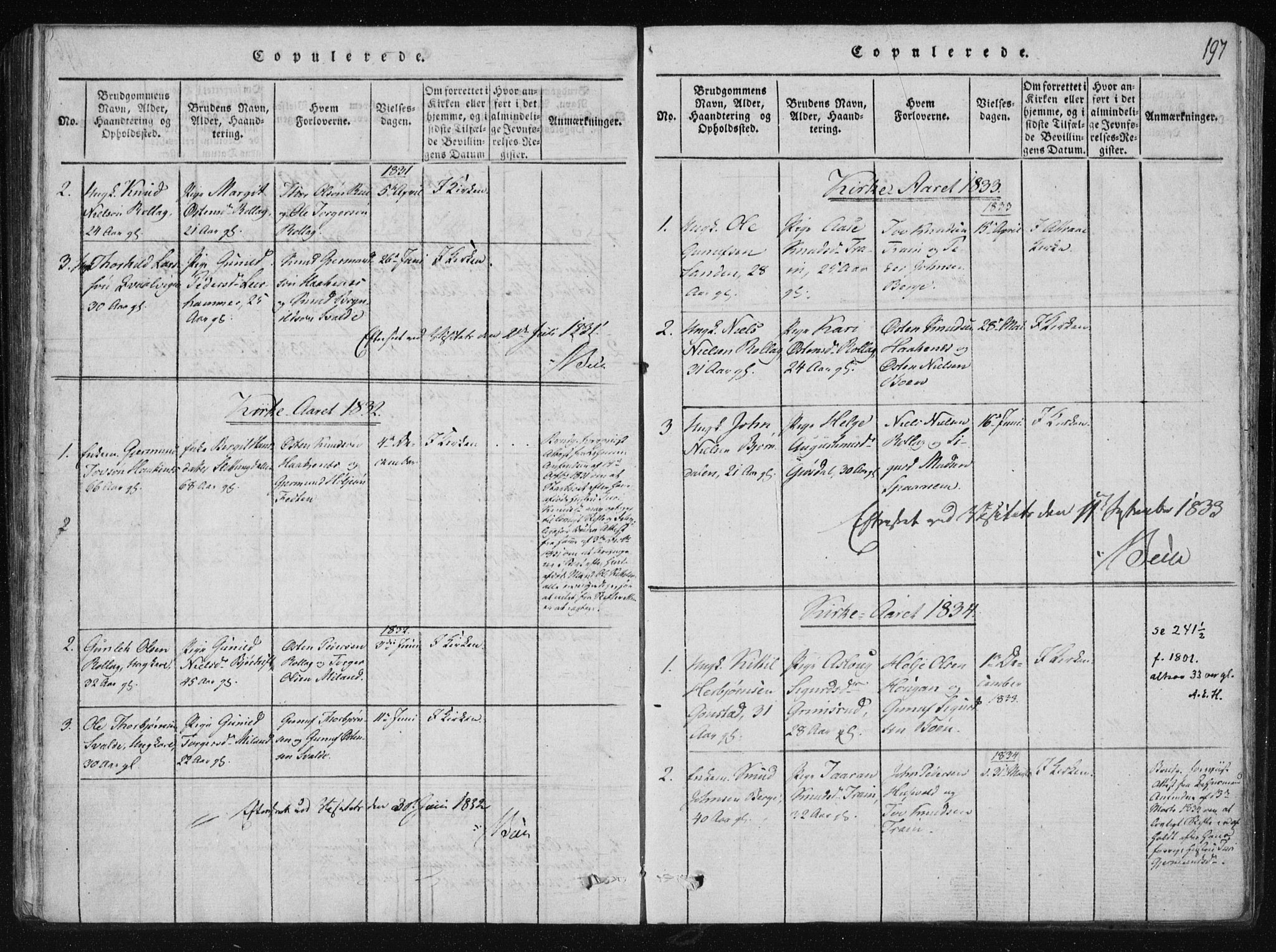 Tinn kirkebøker, SAKO/A-308/F/Fb/L0001: Parish register (official) no. II 1, 1815-1843, p. 197