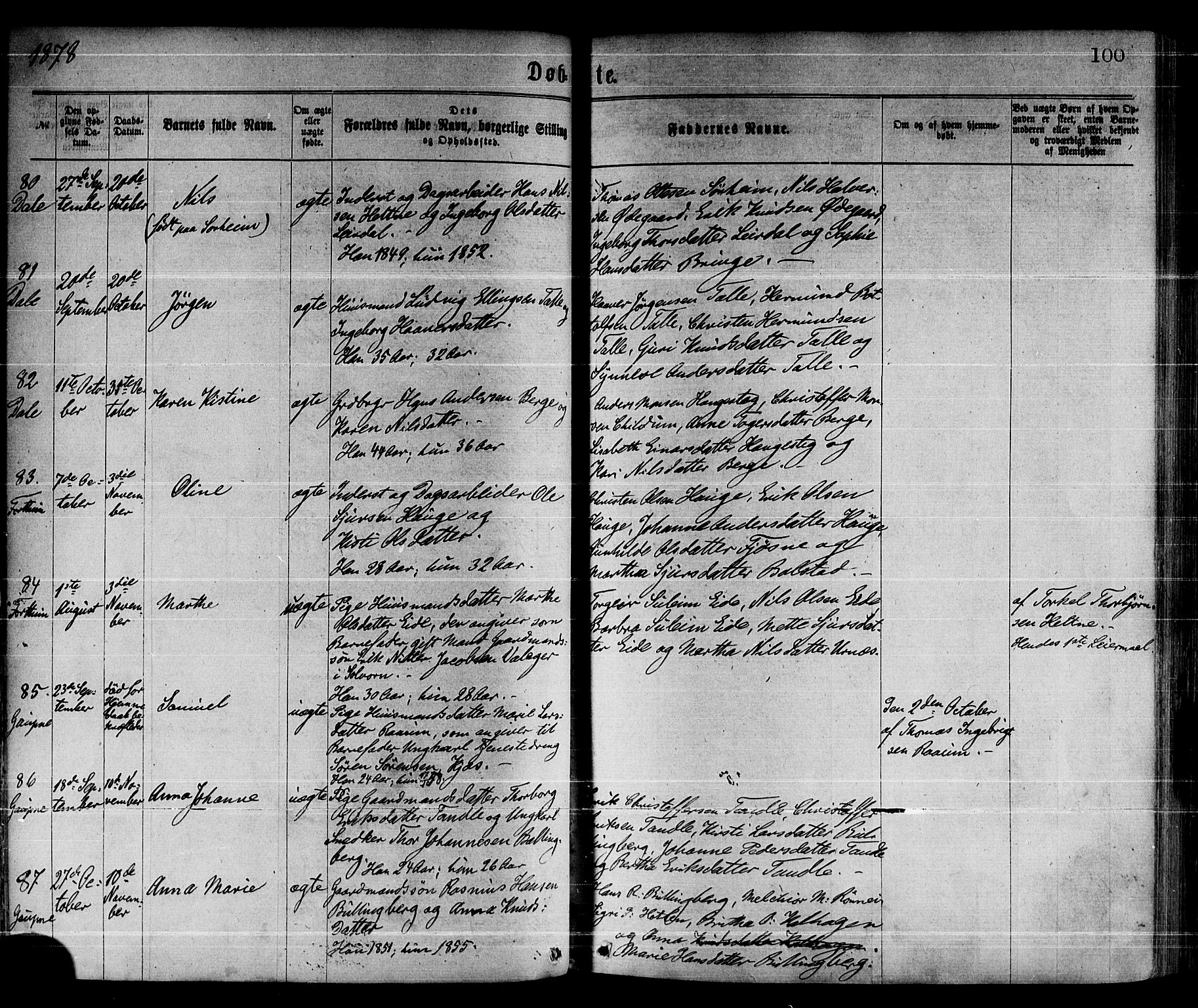 Luster sokneprestembete, AV/SAB-A-81101/H/Haa/Haaa/L0010: Parish register (official) no. A 10, 1871-1886, p. 100