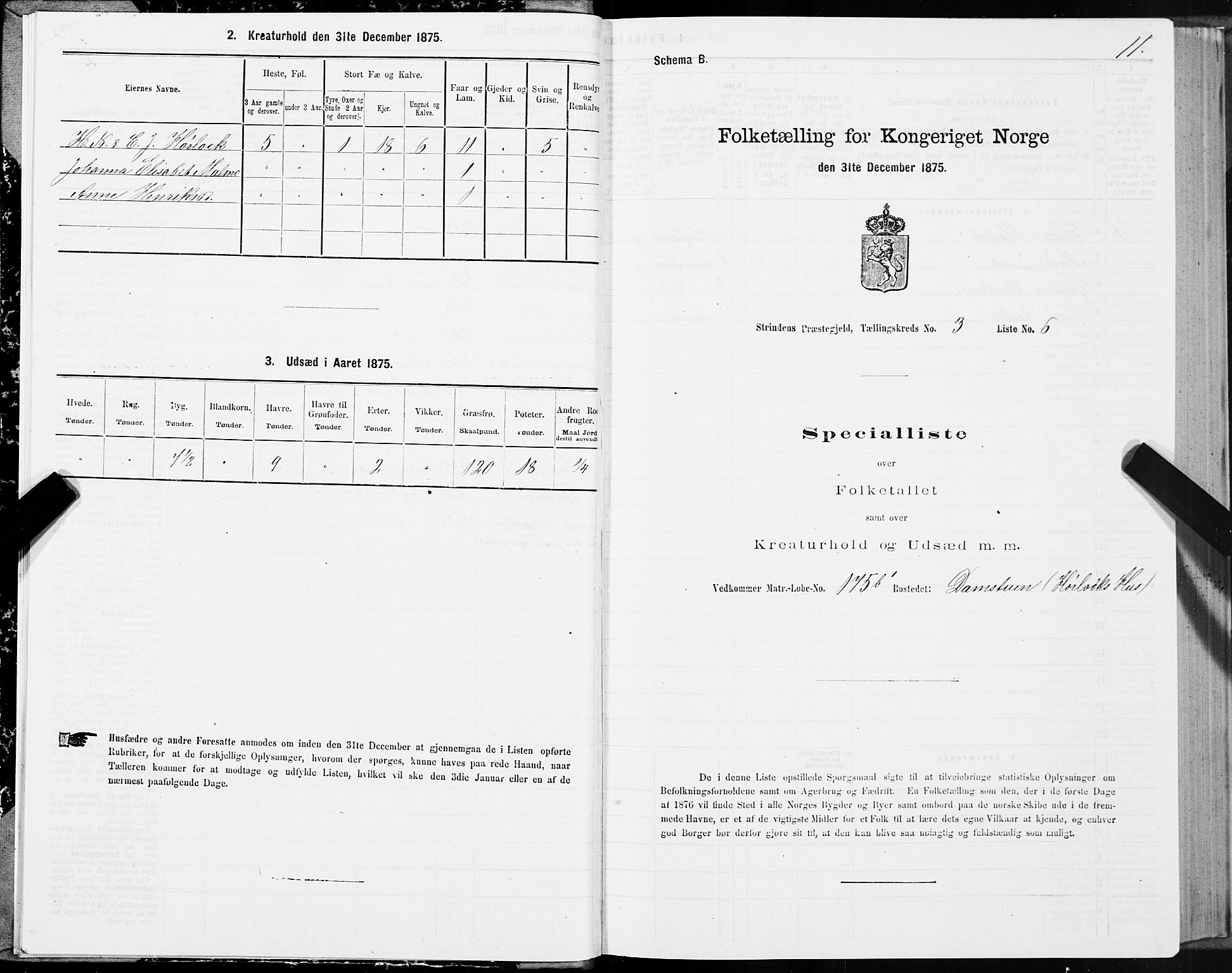 SAT, 1875 census for 1660P Strinda, 1875, p. 2011