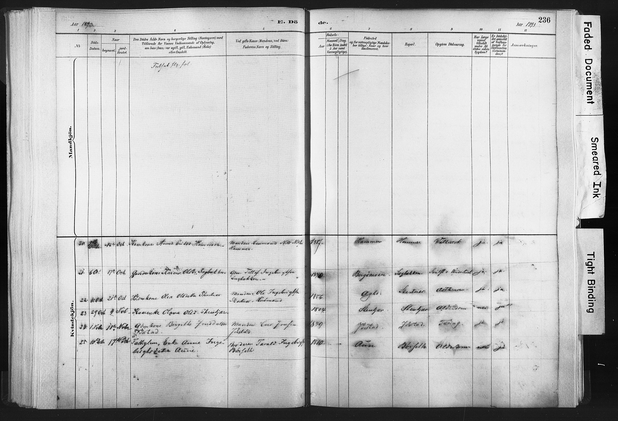 Ministerialprotokoller, klokkerbøker og fødselsregistre - Nord-Trøndelag, SAT/A-1458/749/L0474: Parish register (official) no. 749A08, 1887-1903, p. 236