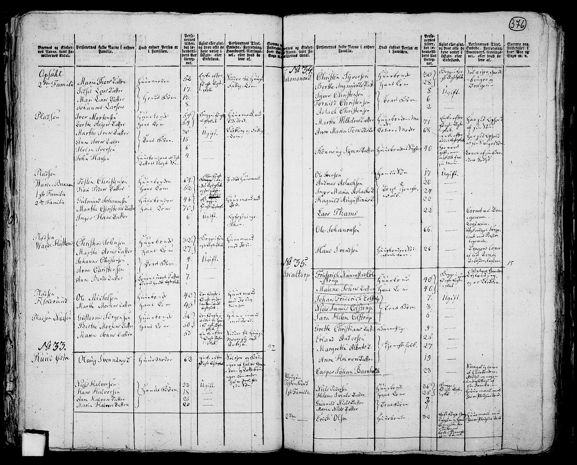 RA, 1801 census for 0125P Eidsberg, 1801, p. 375b-376a