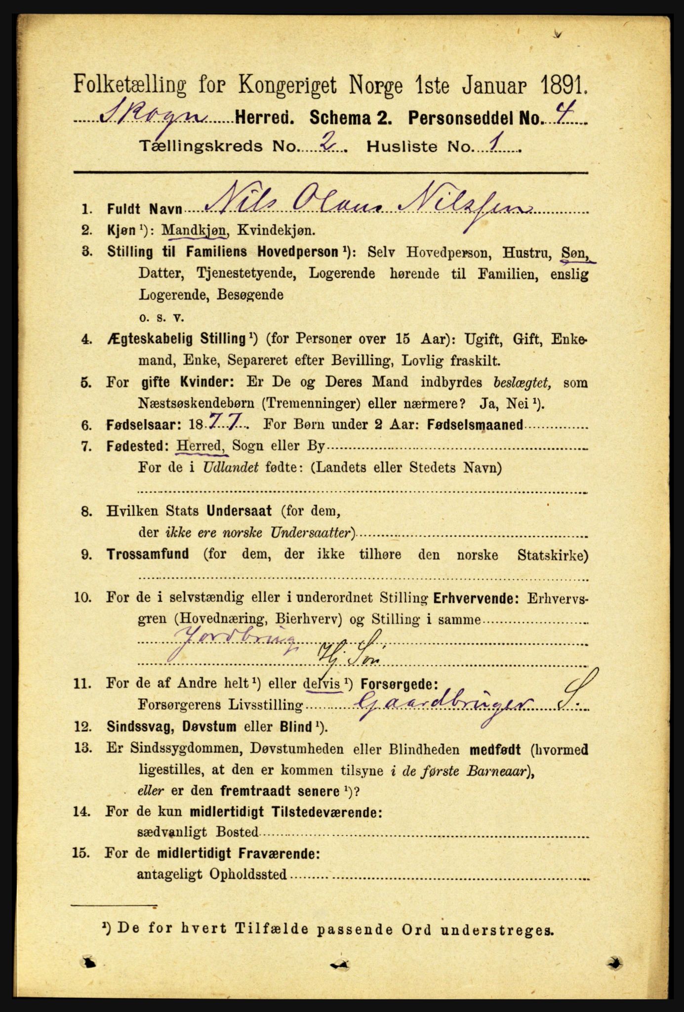 RA, 1891 census for 1719 Skogn, 1891, p. 978