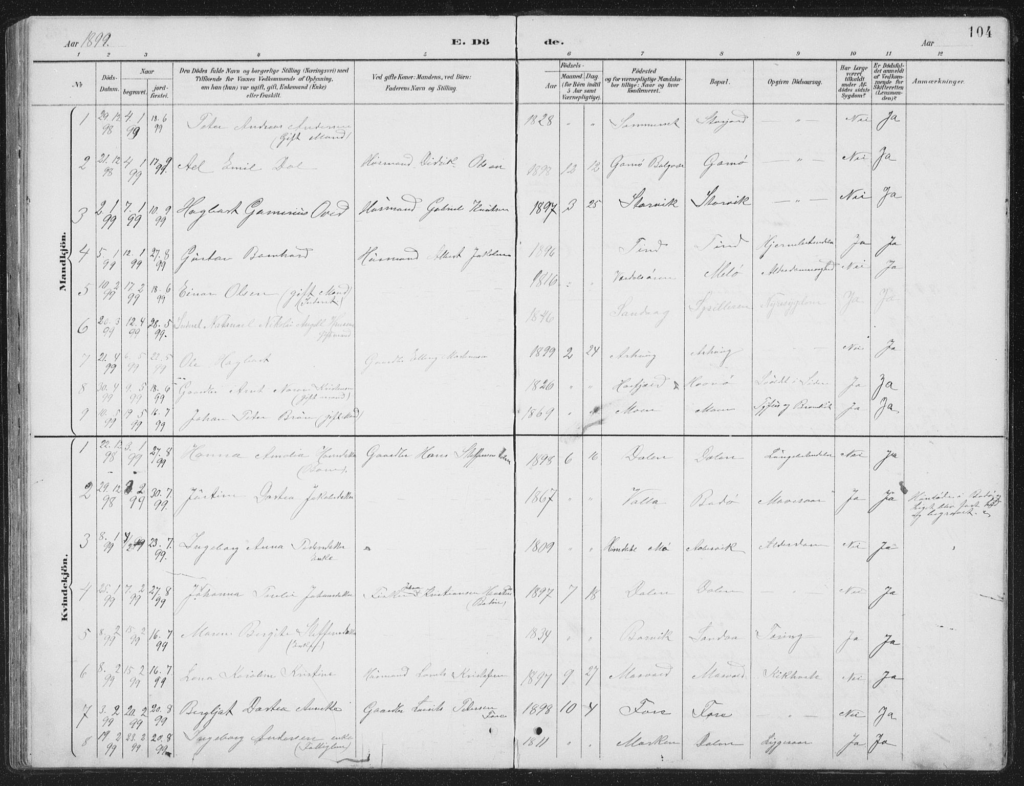 Ministerialprotokoller, klokkerbøker og fødselsregistre - Nordland, SAT/A-1459/843/L0638: Parish register (copy) no. 843C07, 1888-1907, p. 104