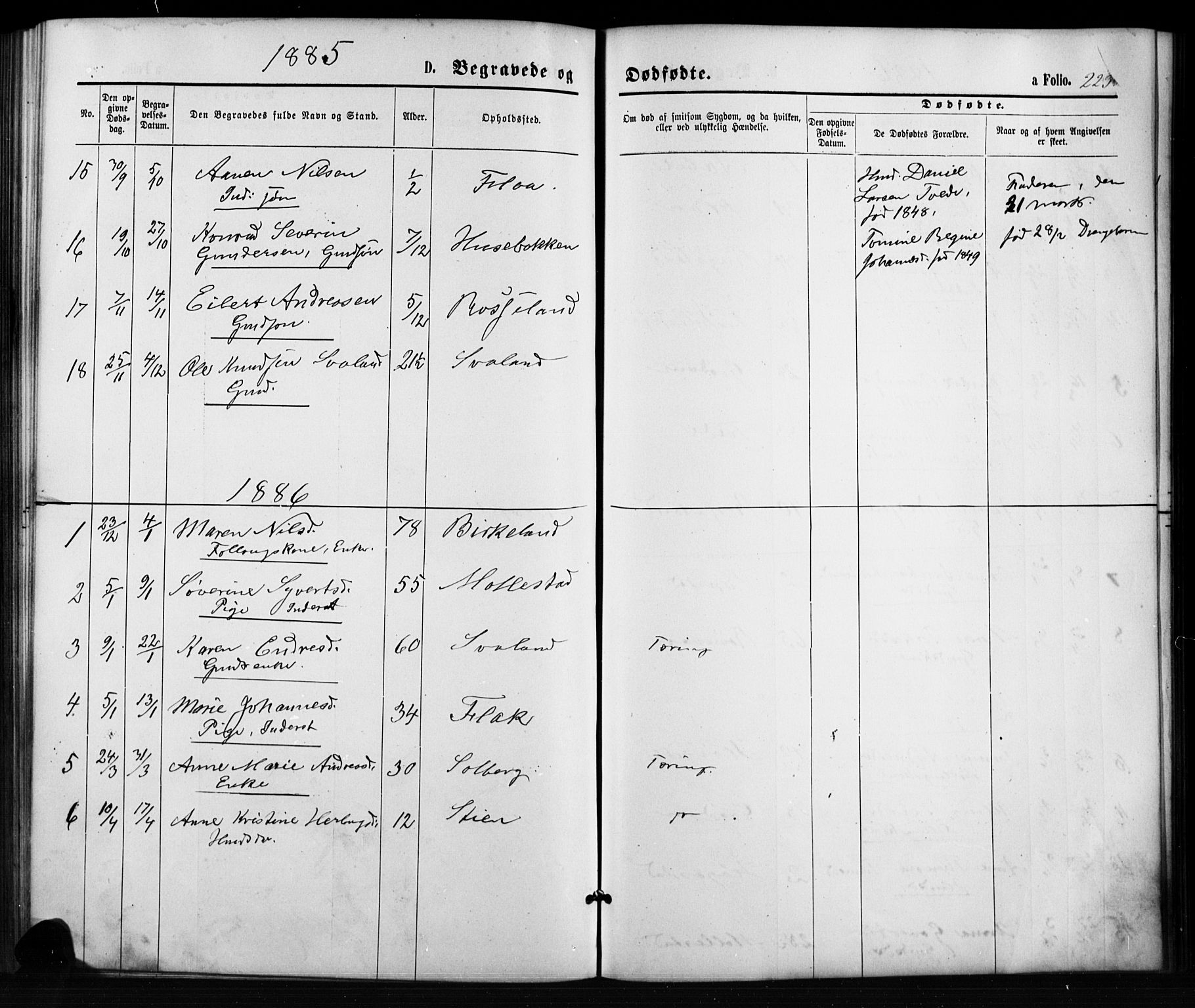 Birkenes sokneprestkontor, SAK/1111-0004/F/Fb/L0003: Parish register (copy) no. B 3, 1876-1892, p. 223