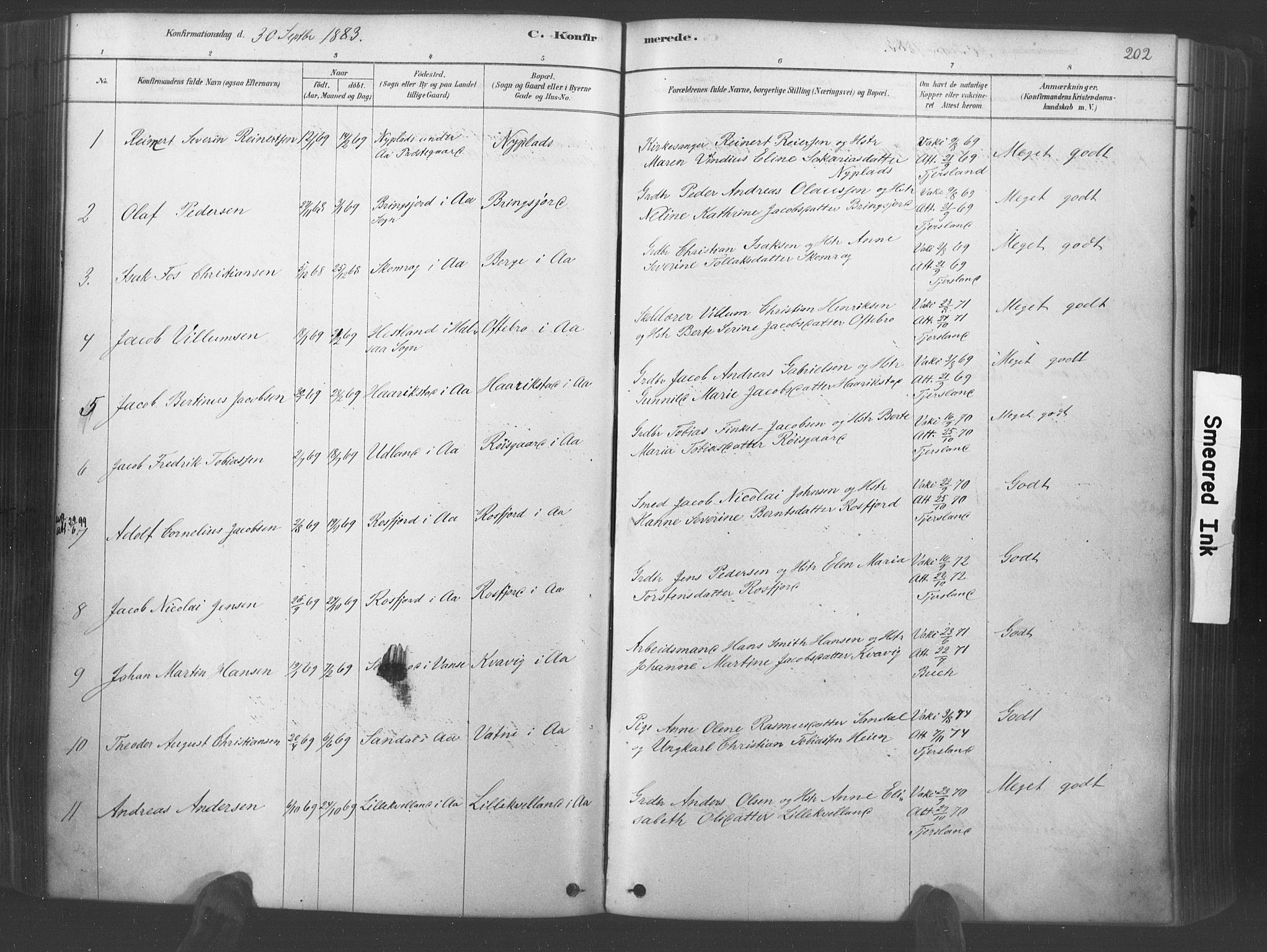 Lyngdal sokneprestkontor, AV/SAK-1111-0029/F/Fa/Fac/L0011: Parish register (official) no. A 11, 1878-1893, p. 202