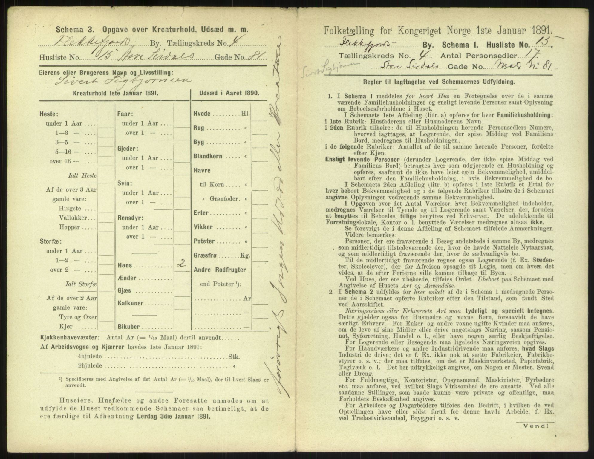 RA, 1891 census for 1004 Flekkefjord, 1891, p. 198