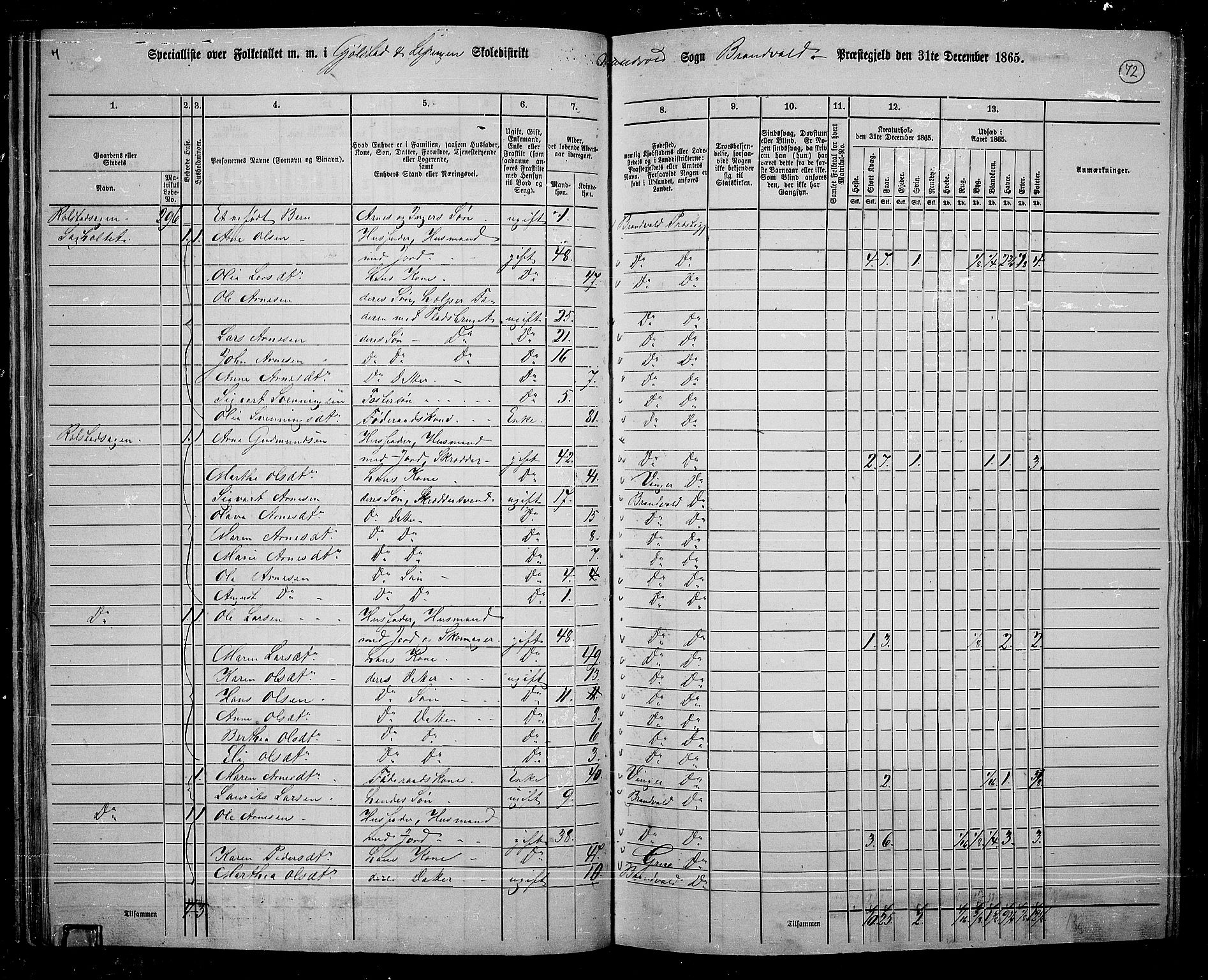 RA, 1865 census for Brandval, 1865, p. 63