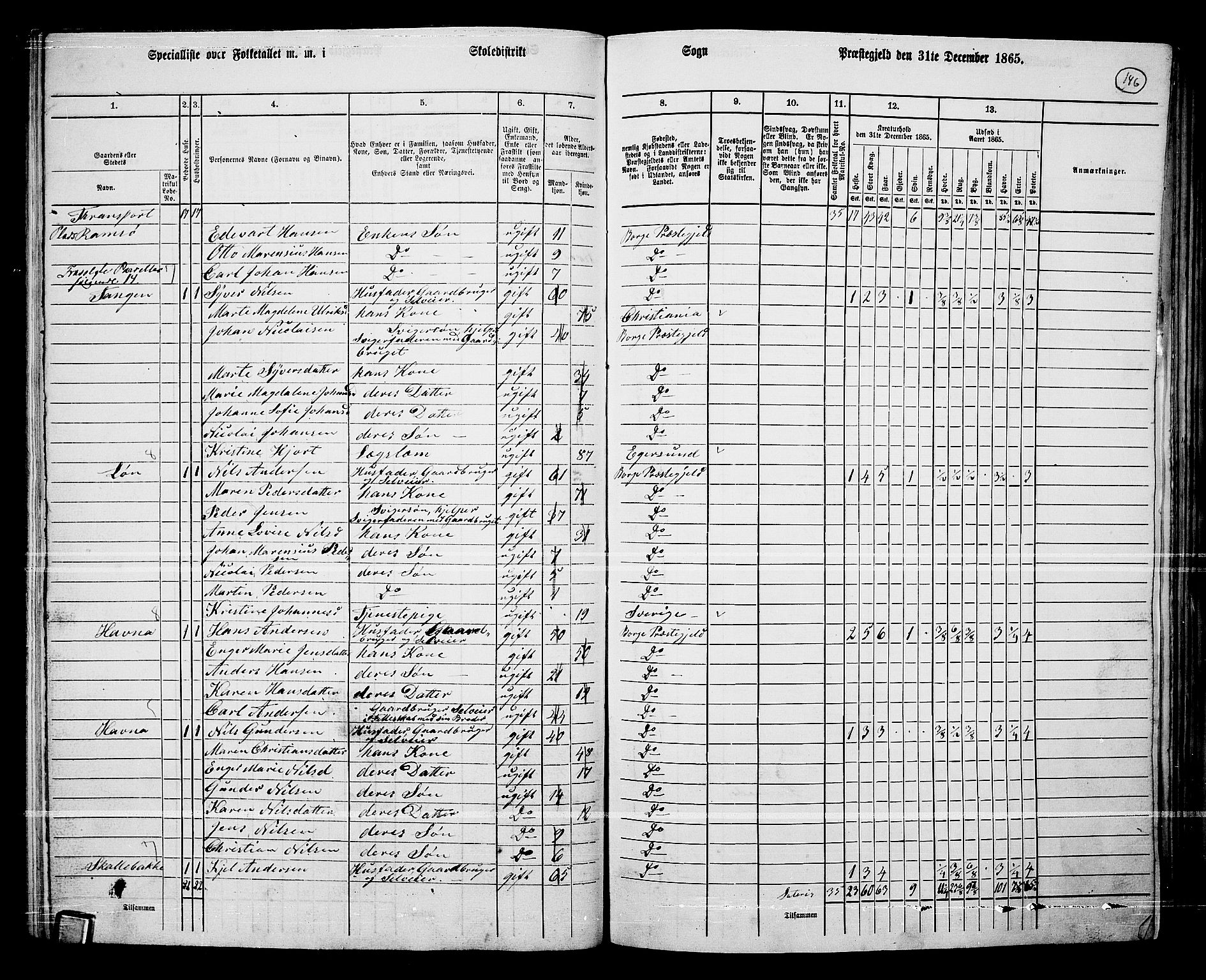 RA, 1865 census for Borge, 1865, p. 131