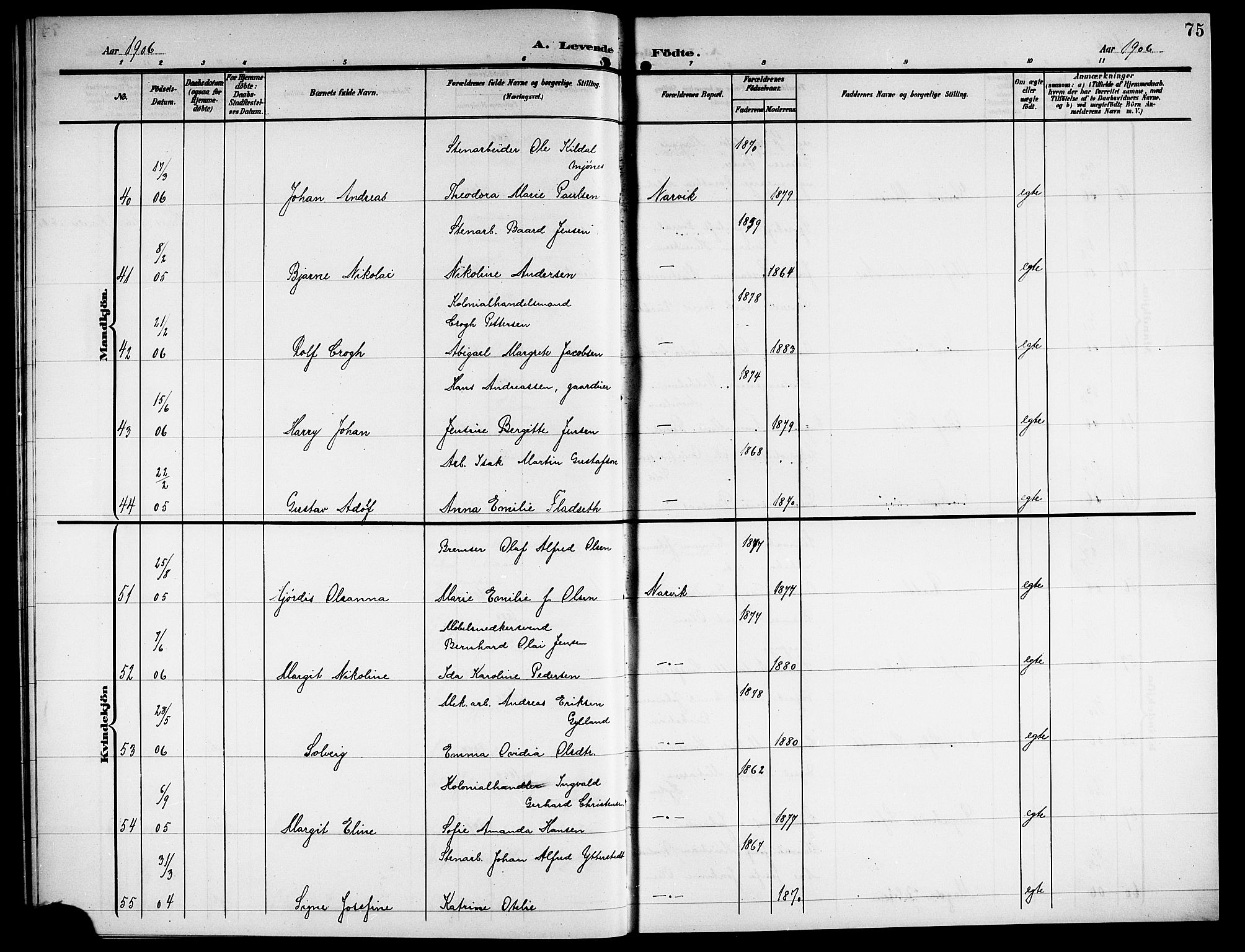 Ministerialprotokoller, klokkerbøker og fødselsregistre - Nordland, AV/SAT-A-1459/871/L1012: Parish register (copy) no. 871C01, 1902-1909, p. 75