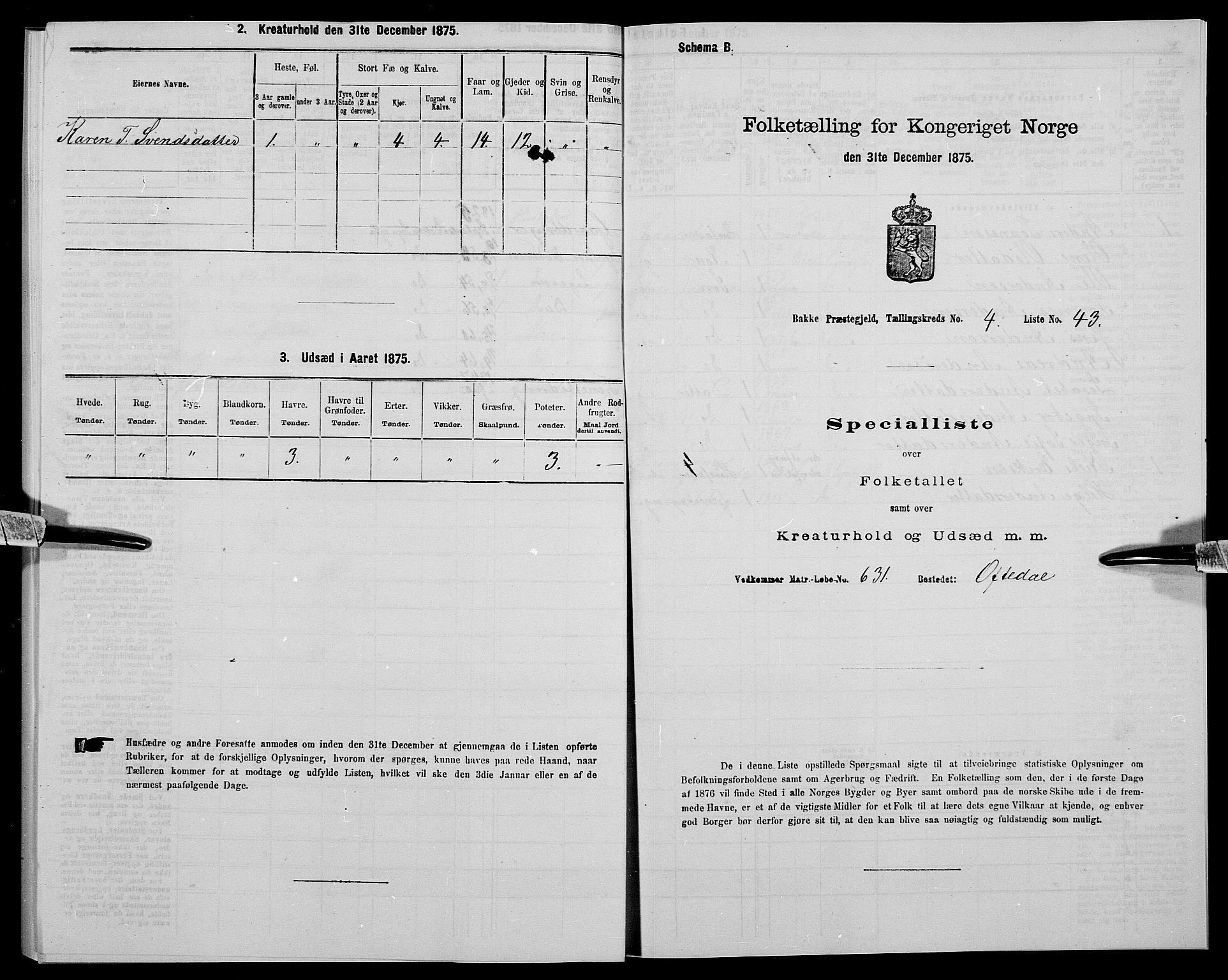 SAK, 1875 census for 1045P Bakke, 1875, p. 468