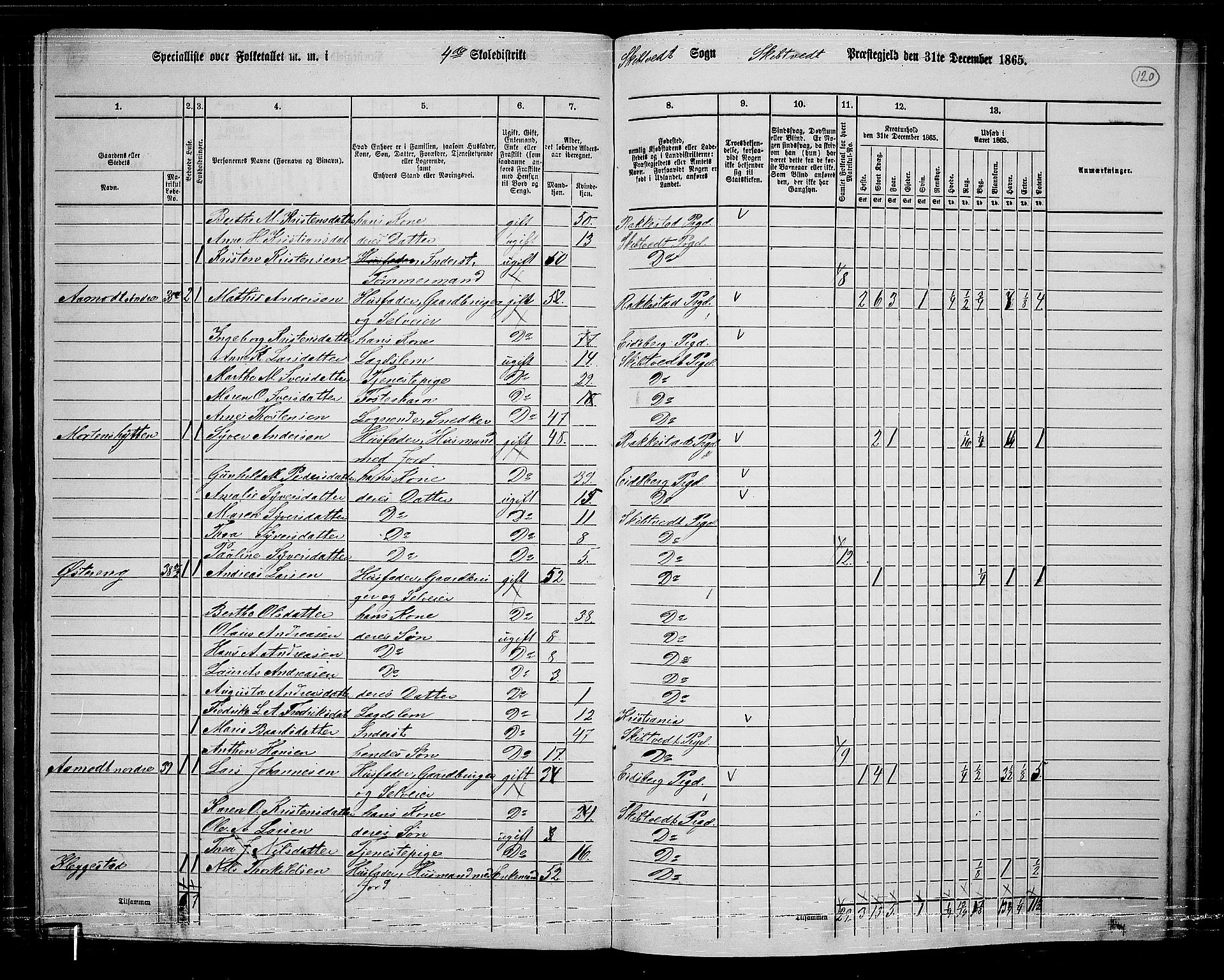 RA, 1865 census for Skiptvet, 1865, p. 110