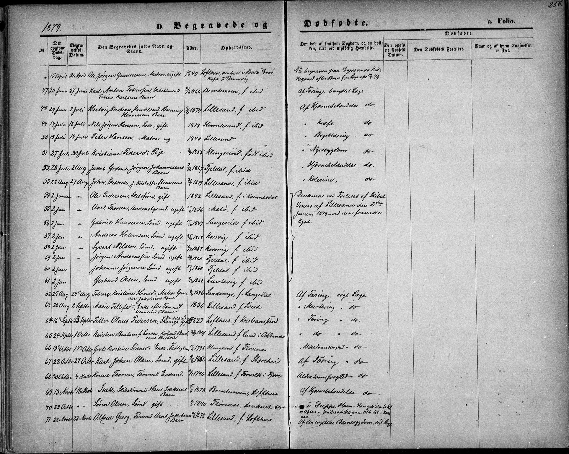 Vestre Moland sokneprestkontor, AV/SAK-1111-0046/F/Fb/Fbb/L0005: Parish register (copy) no. B 5, 1872-1883, p. 256