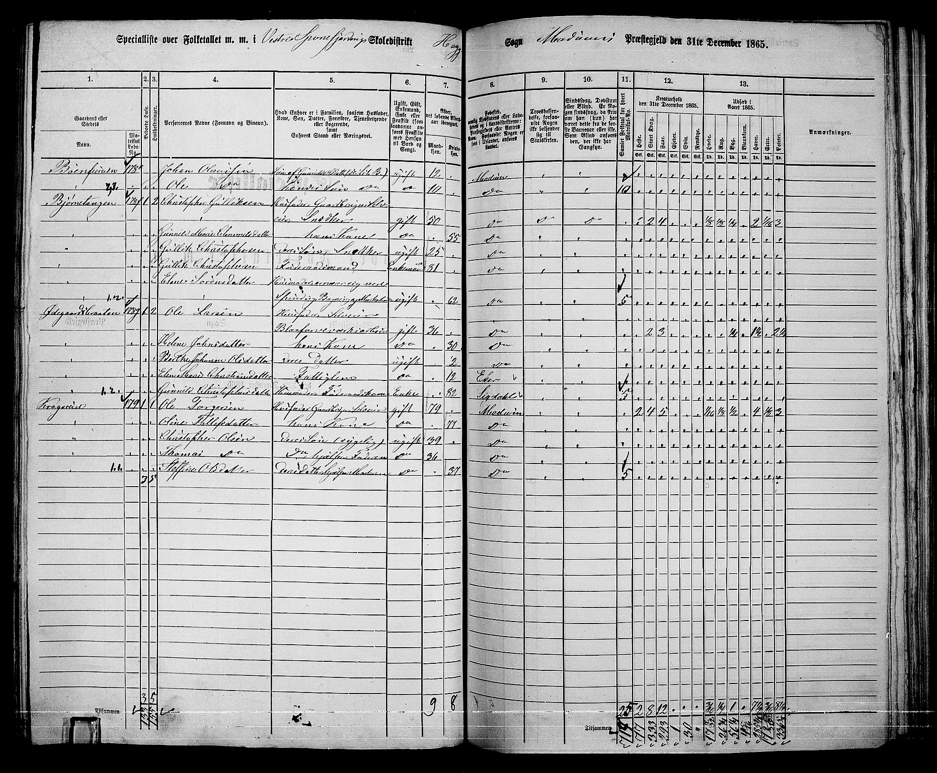 RA, 1865 census for Modum, 1865, p. 213