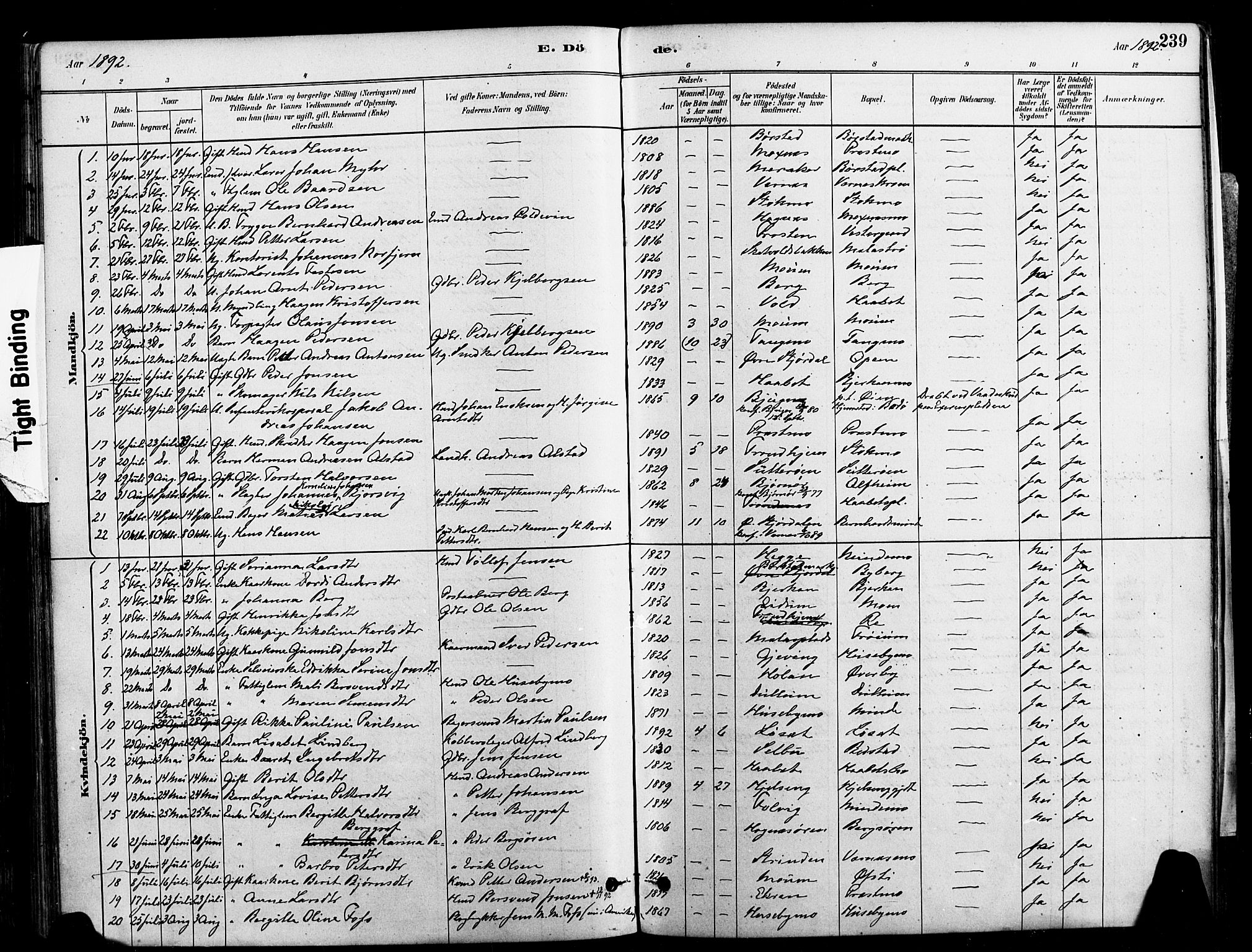 Ministerialprotokoller, klokkerbøker og fødselsregistre - Nord-Trøndelag, SAT/A-1458/709/L0077: Parish register (official) no. 709A17, 1880-1895, p. 239