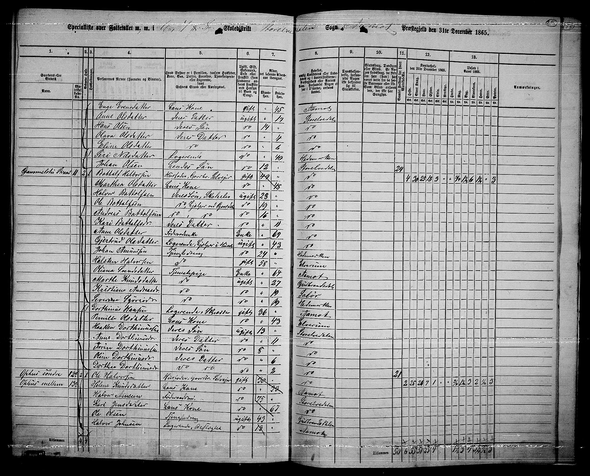 RA, 1865 census for Åmot, 1865, p. 218