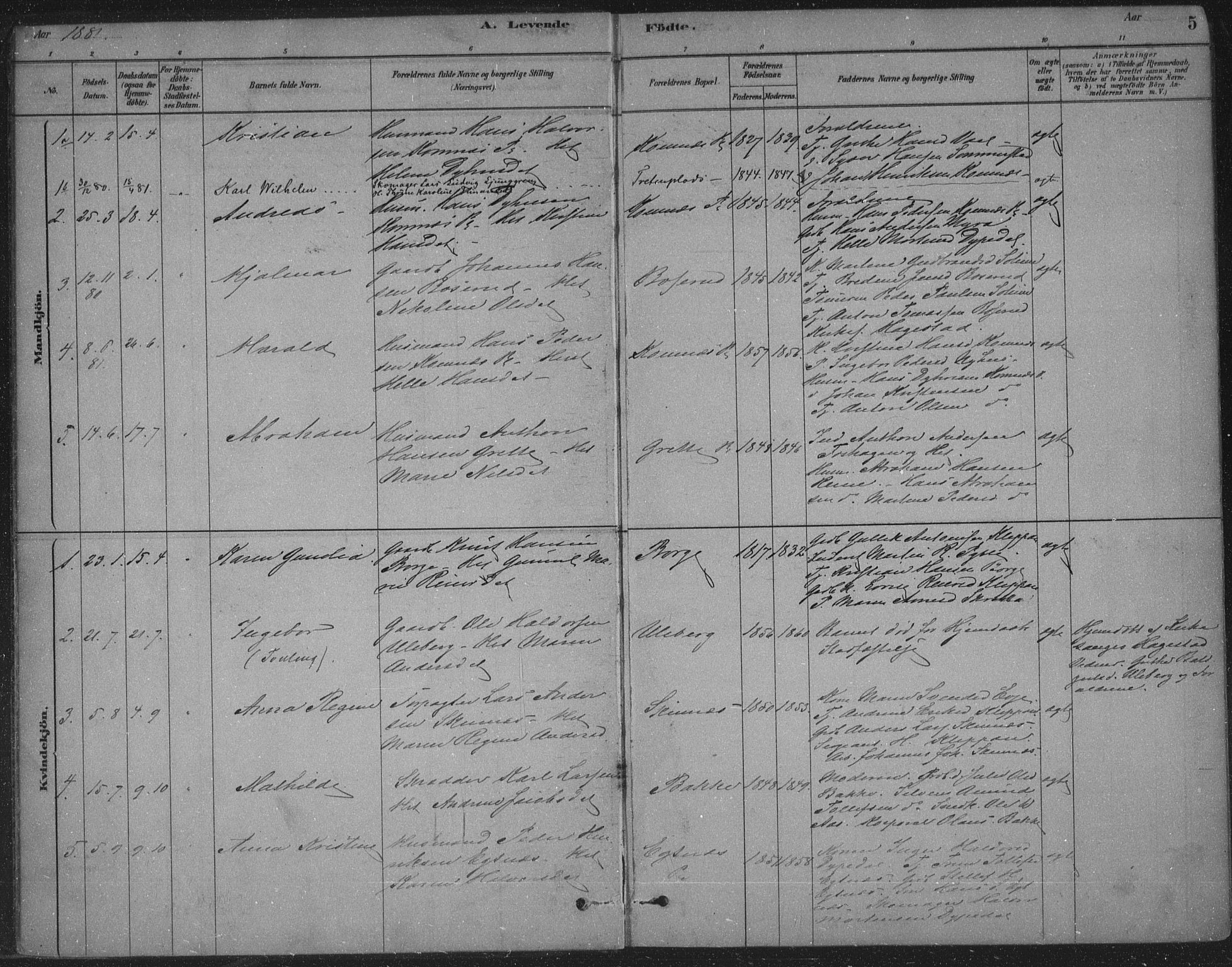 Sandsvær kirkebøker, AV/SAKO-A-244/F/Fe/L0001: Parish register (official) no. V 1, 1878-1936, p. 5