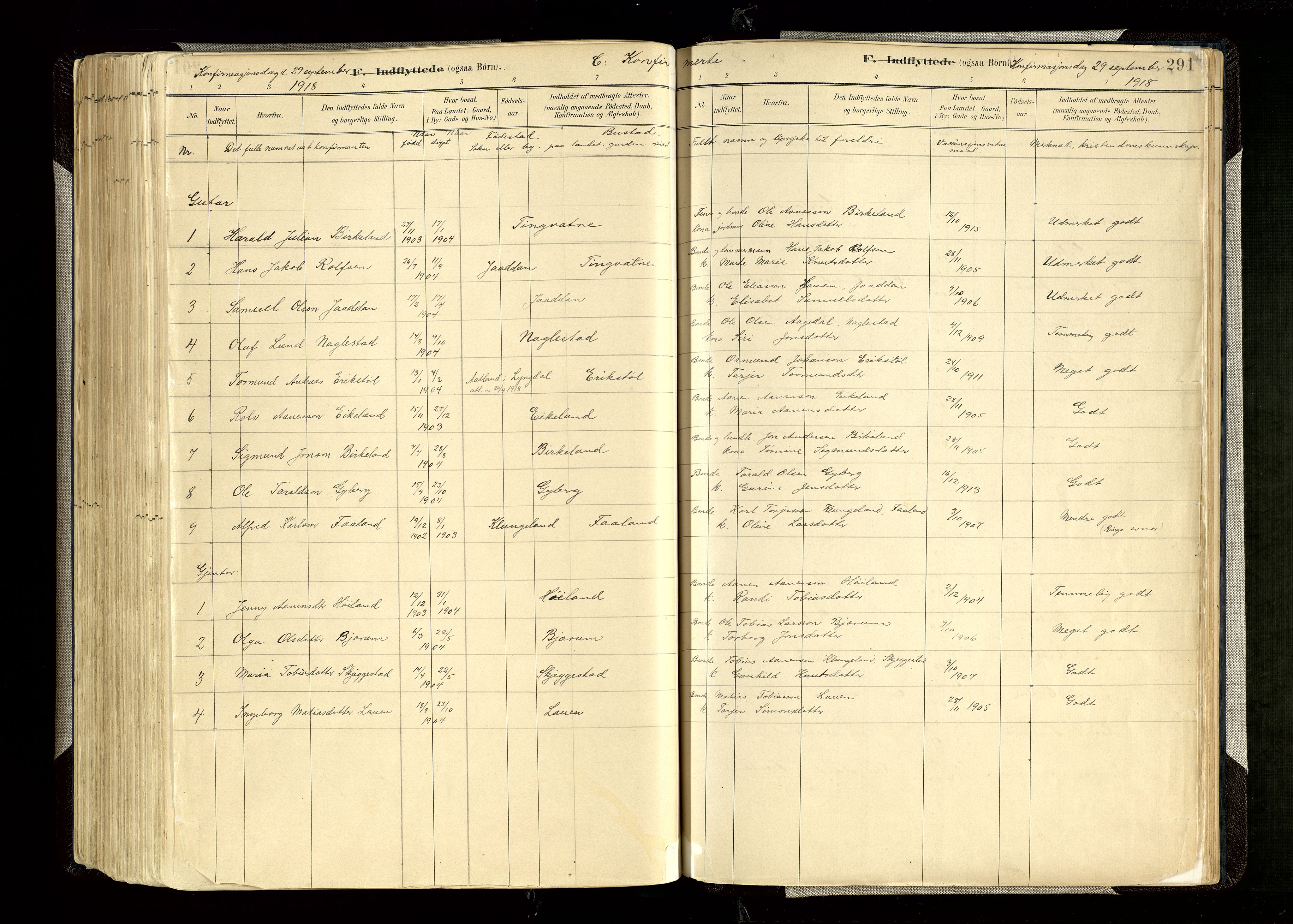 Hægebostad sokneprestkontor, AV/SAK-1111-0024/F/Fa/Faa/L0006: Parish register (official) no. A 6, 1887-1929, p. 291