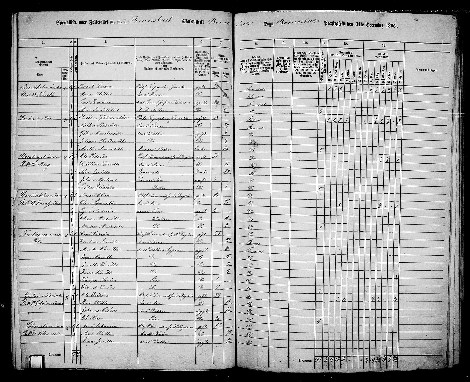 RA, 1865 census for Romedal, 1865, p. 119