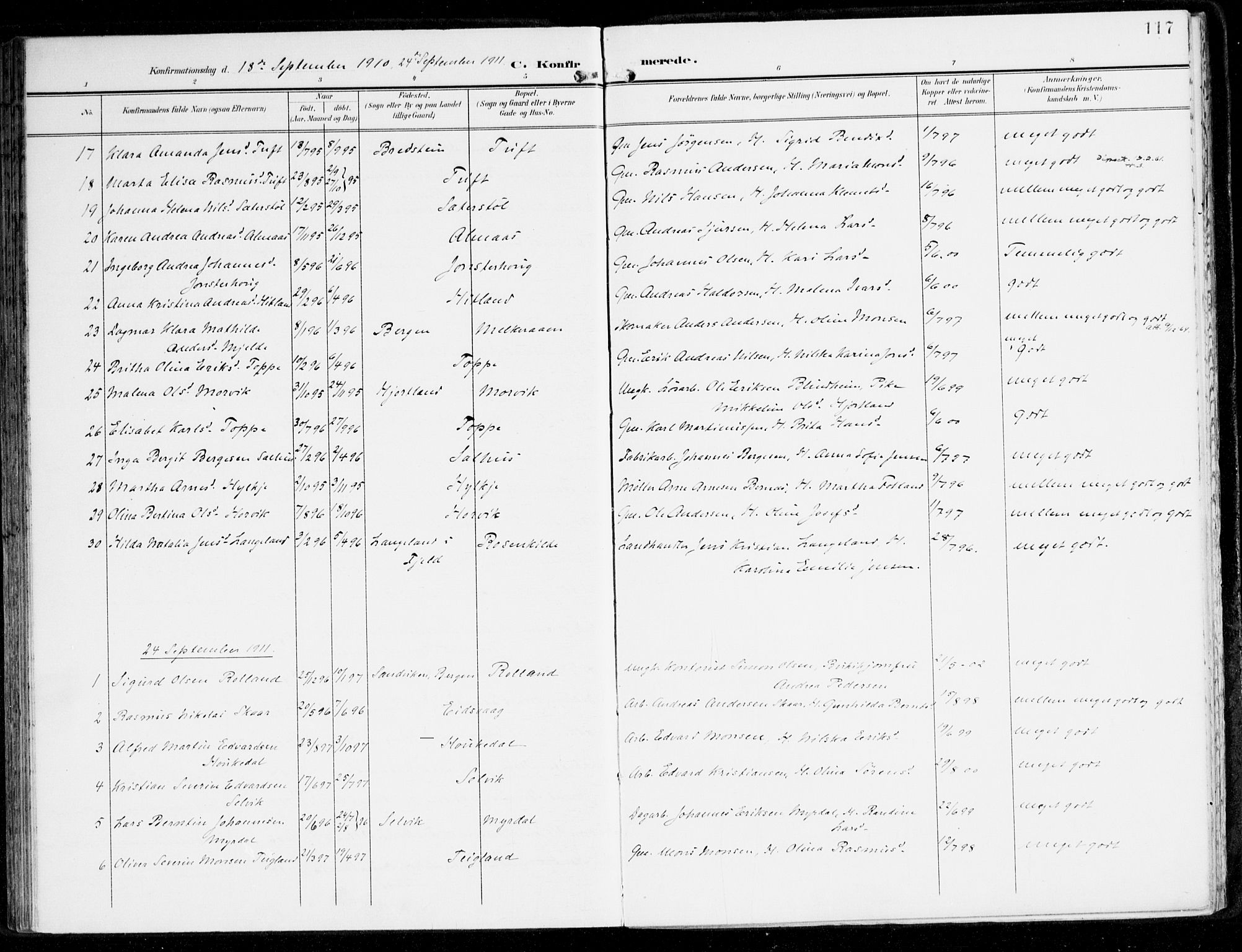 Hamre sokneprestembete, SAB/A-75501/H/Ha/Haa/Haad/L0002: Parish register (official) no. D 2, 1899-1916, p. 117
