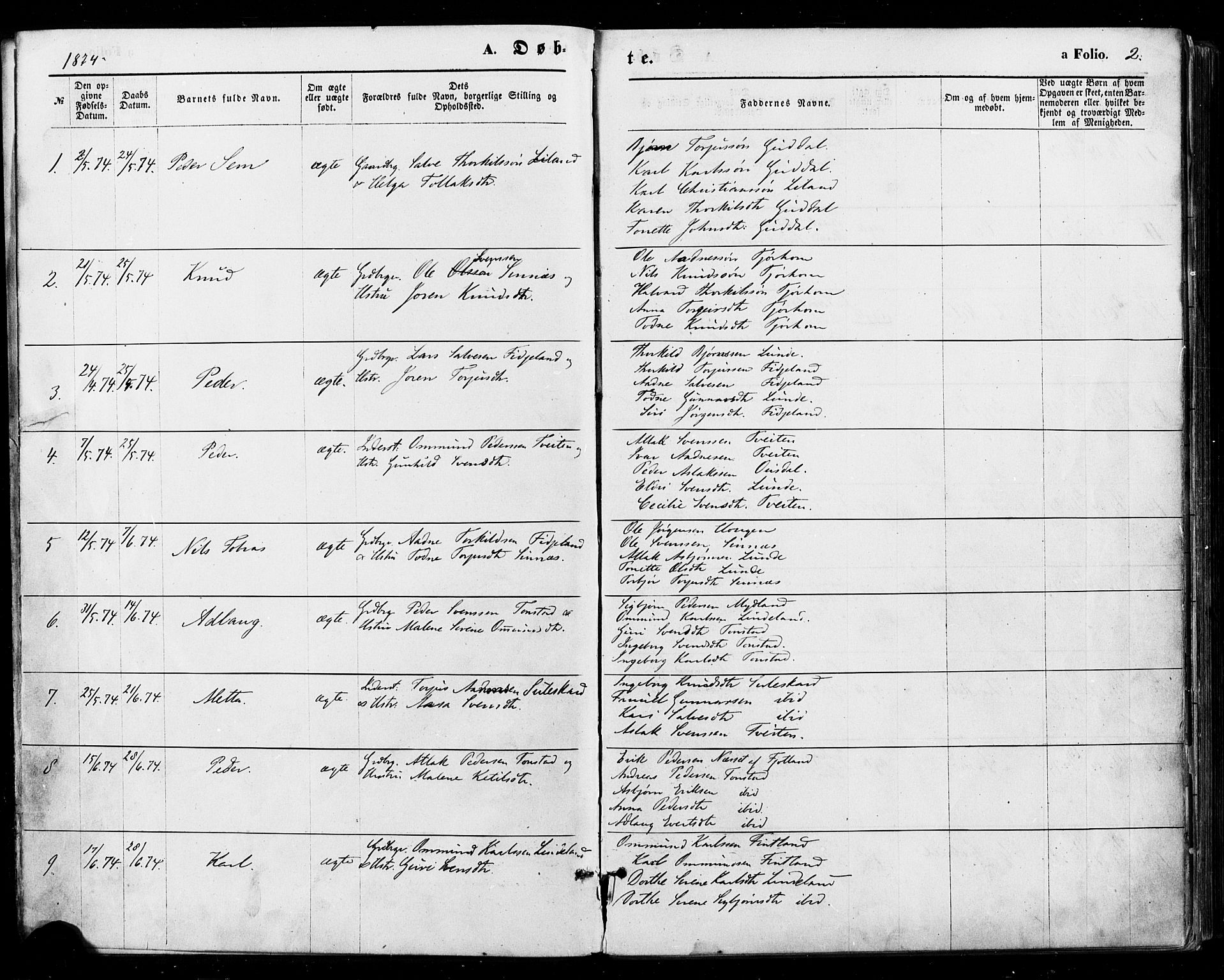 Sirdal sokneprestkontor, AV/SAK-1111-0036/F/Fa/Fab/L0003: Parish register (official) no. A 3, 1874-1886, p. 2