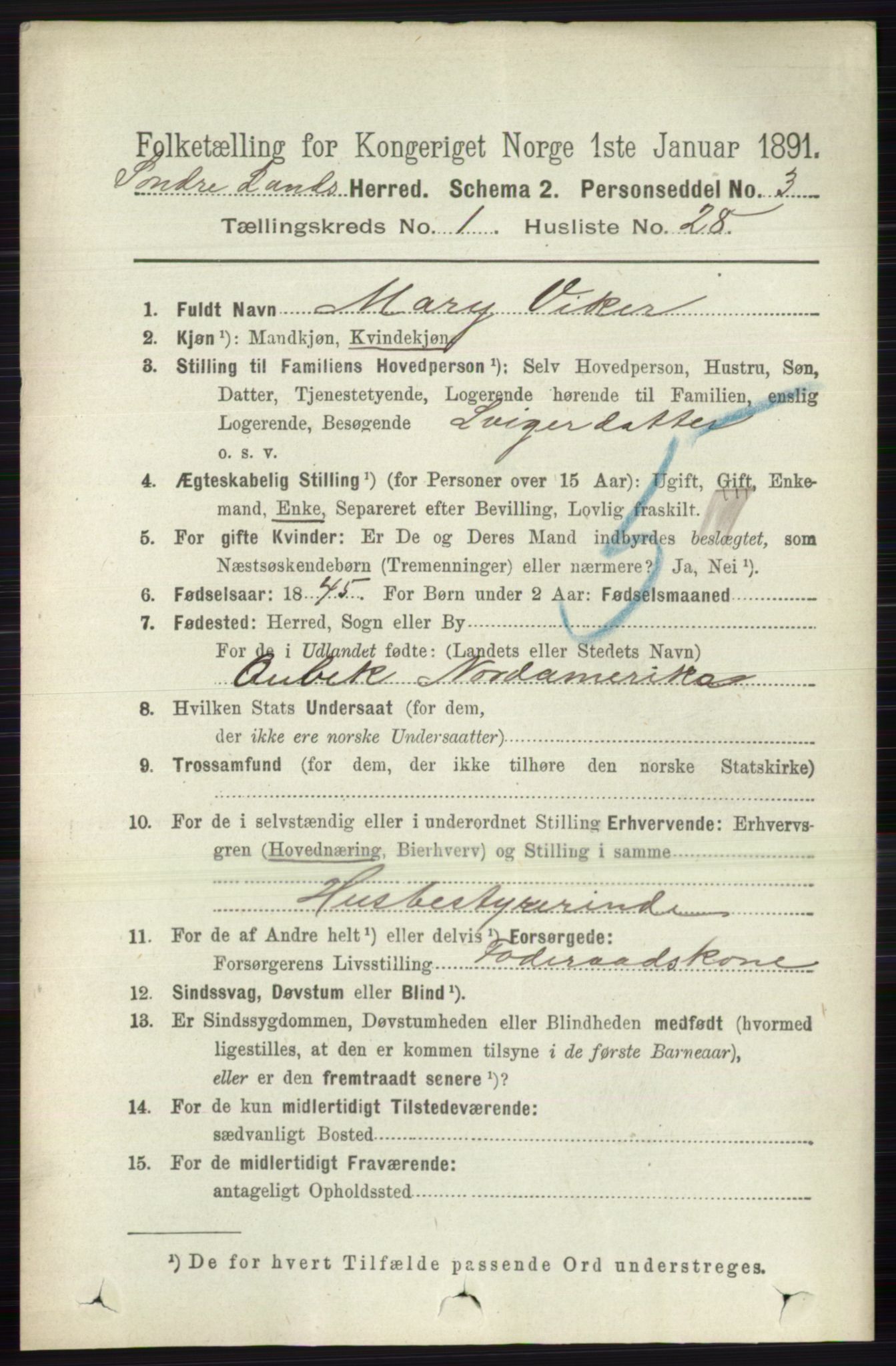 RA, 1891 census for 0536 Søndre Land, 1891, p. 321