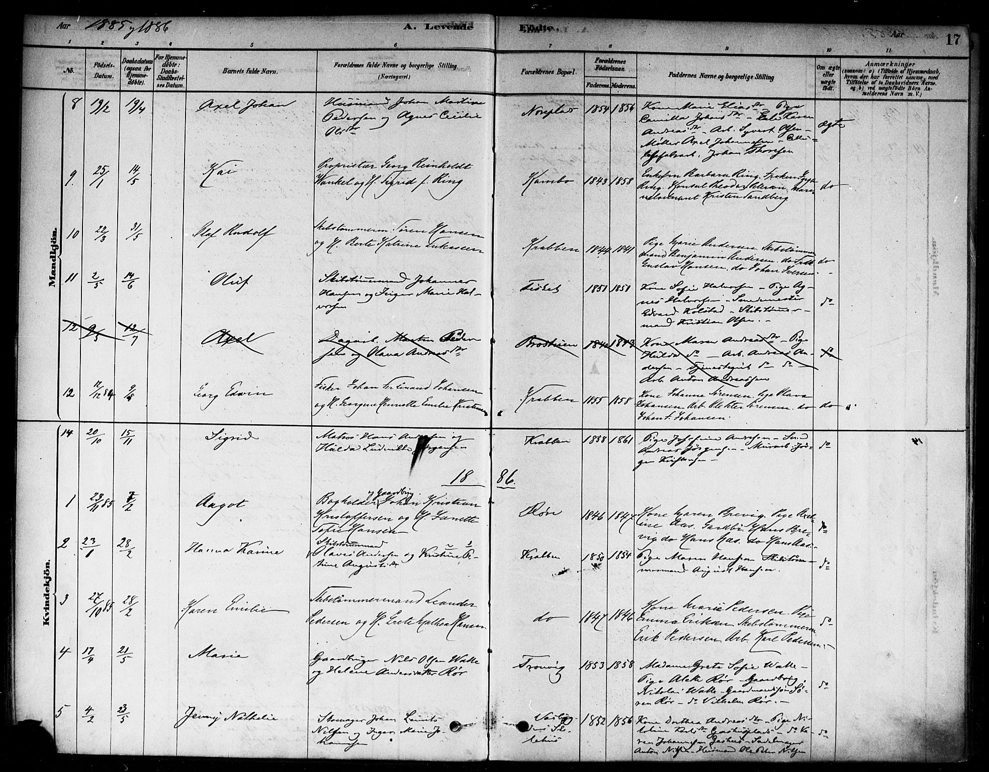 Moss prestekontor Kirkebøker, SAO/A-2003/F/Fc/L0001: Parish register (official) no. III 1, 1878-1894, p. 17