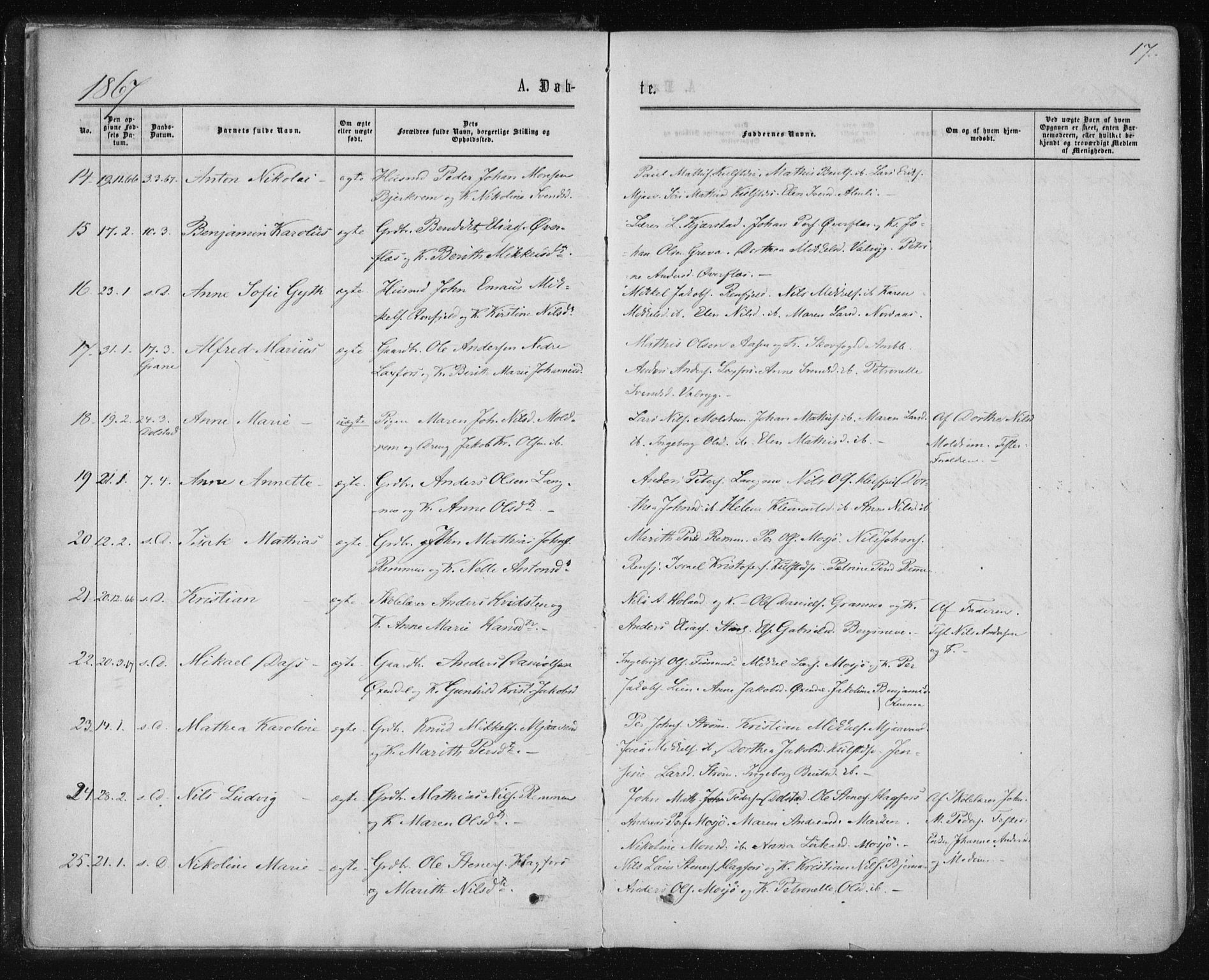 Ministerialprotokoller, klokkerbøker og fødselsregistre - Nordland, SAT/A-1459/820/L0294: Parish register (official) no. 820A15, 1866-1879, p. 17