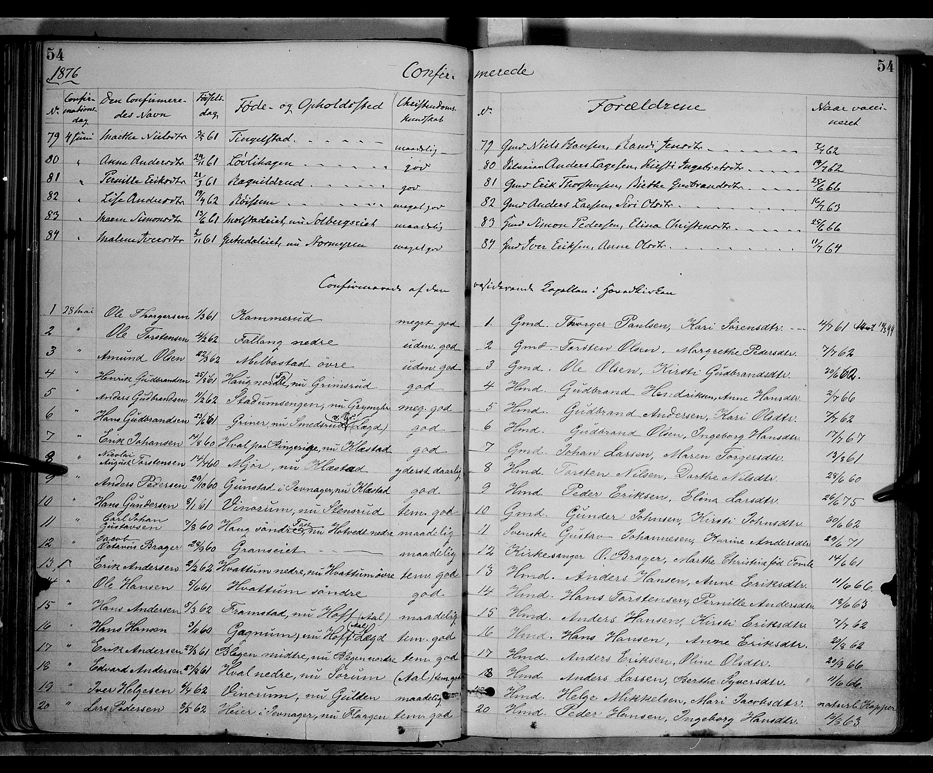 Gran prestekontor, AV/SAH-PREST-112/H/Ha/Haa/L0013: Parish register (official) no. 13, 1875-1879, p. 54