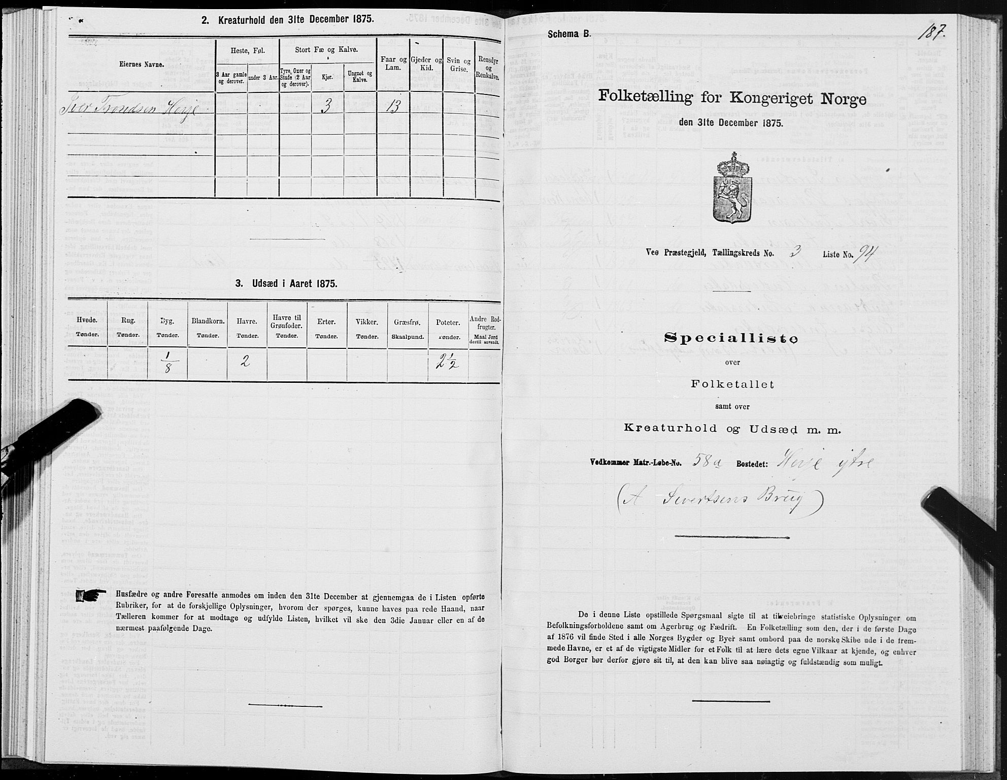 SAT, 1875 census for 1541P Veøy, 1875, p. 2187