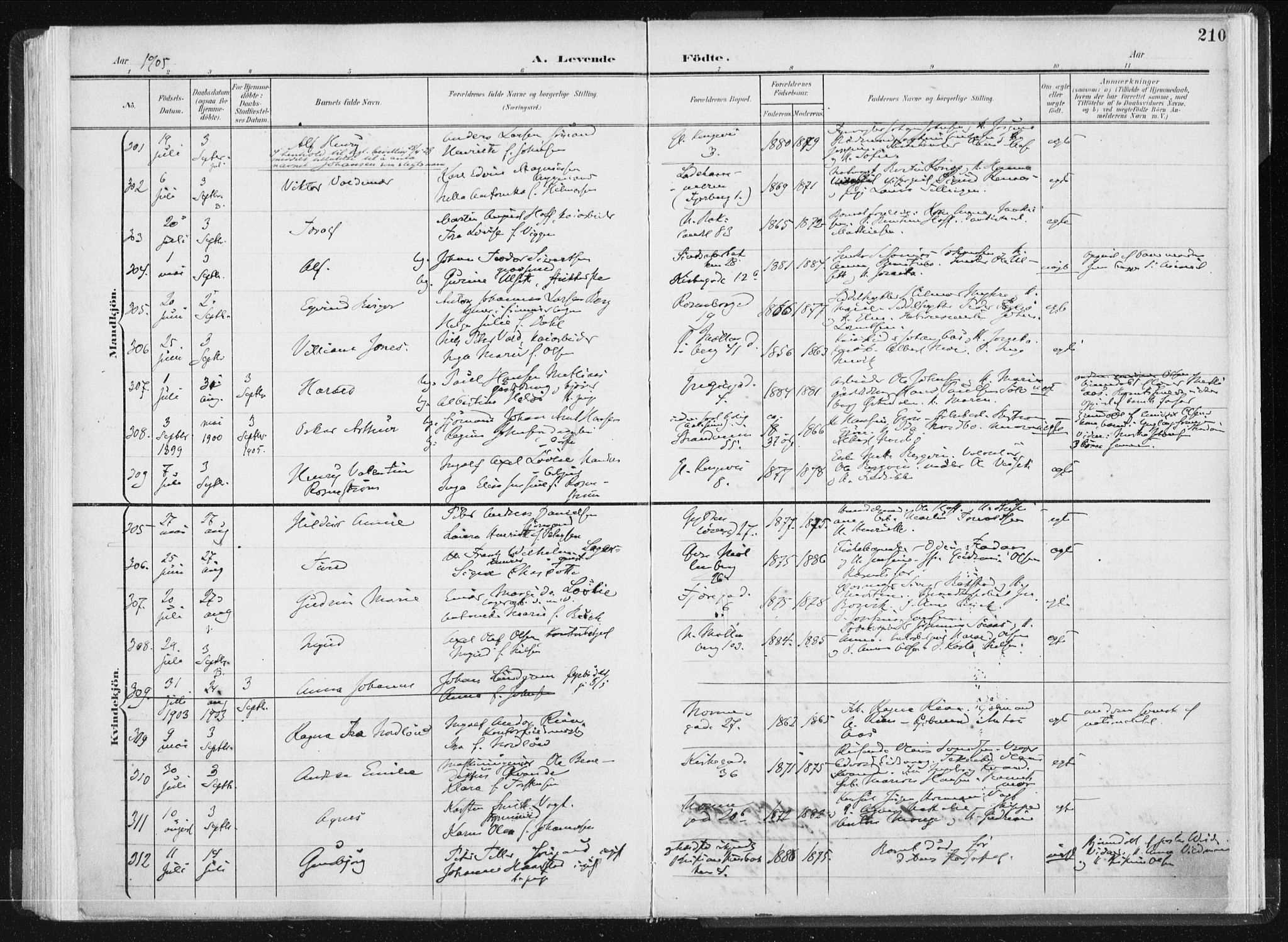 Ministerialprotokoller, klokkerbøker og fødselsregistre - Sør-Trøndelag, SAT/A-1456/604/L0199: Parish register (official) no. 604A20I, 1901-1906, p. 210