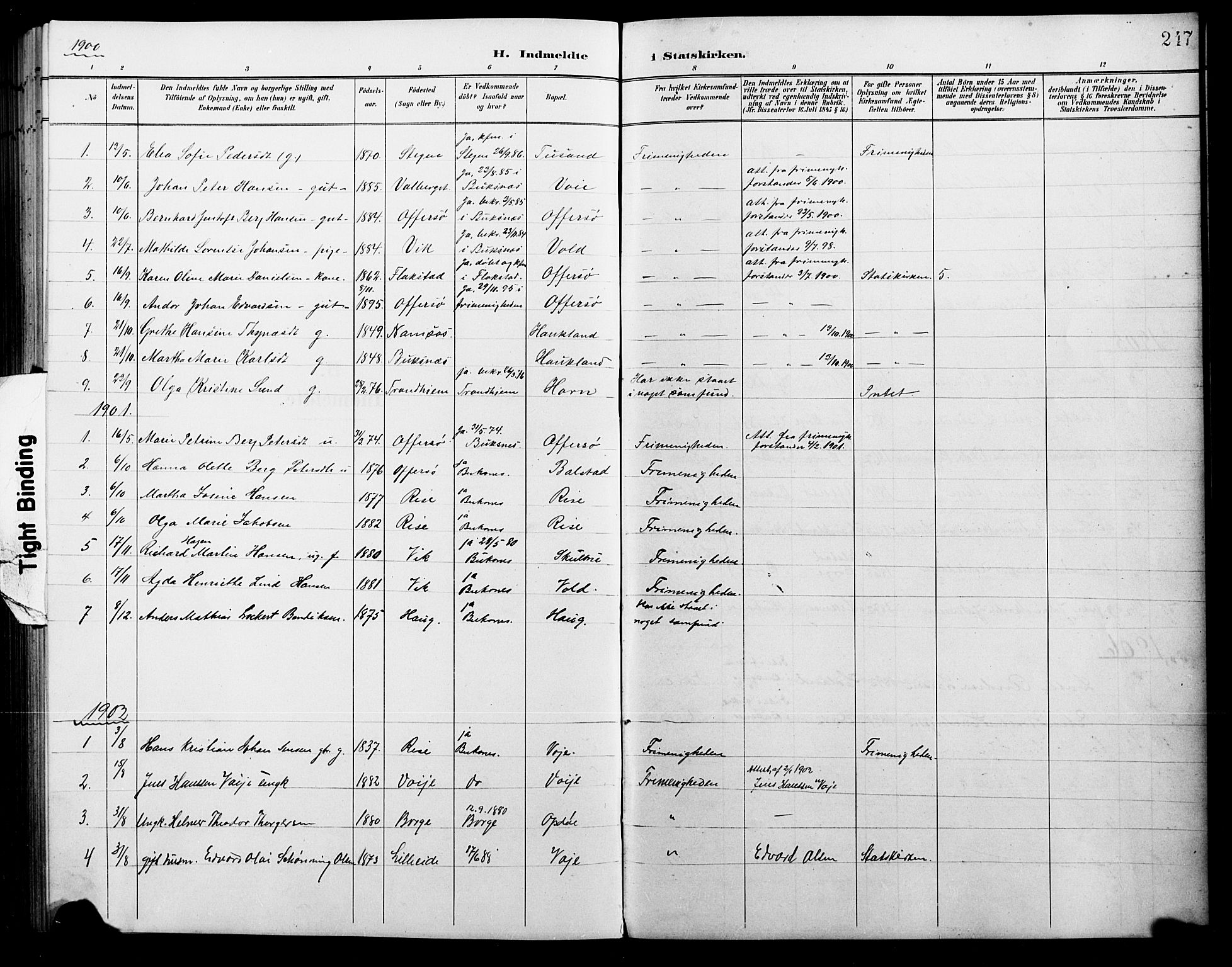 Ministerialprotokoller, klokkerbøker og fødselsregistre - Nordland, AV/SAT-A-1459/881/L1168: Parish register (copy) no. 881C05, 1900-1911, p. 217