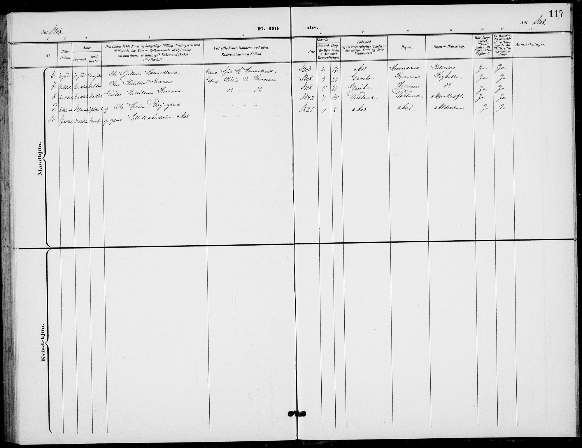 Flesberg kirkebøker, AV/SAKO-A-18/G/Ga/L0005: Parish register (copy) no. I 5, 1899-1908, p. 117