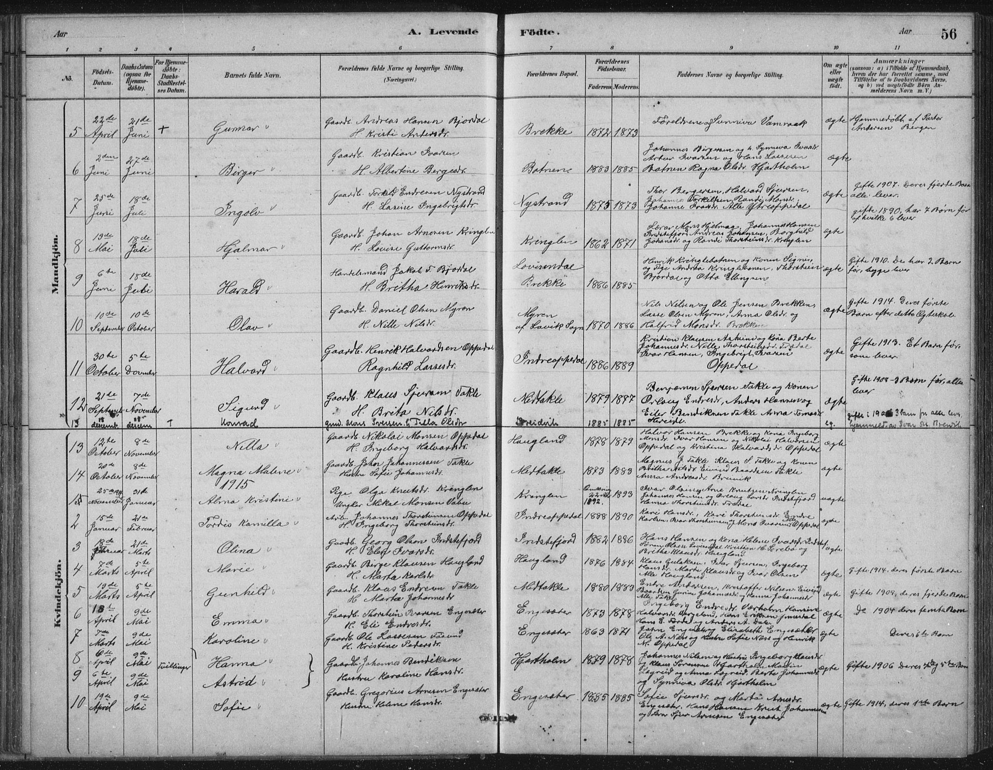 Gulen sokneprestembete, SAB/A-80201/H/Hab/Habc/L0002: Parish register (copy) no. C 2, 1880-1938, p. 56