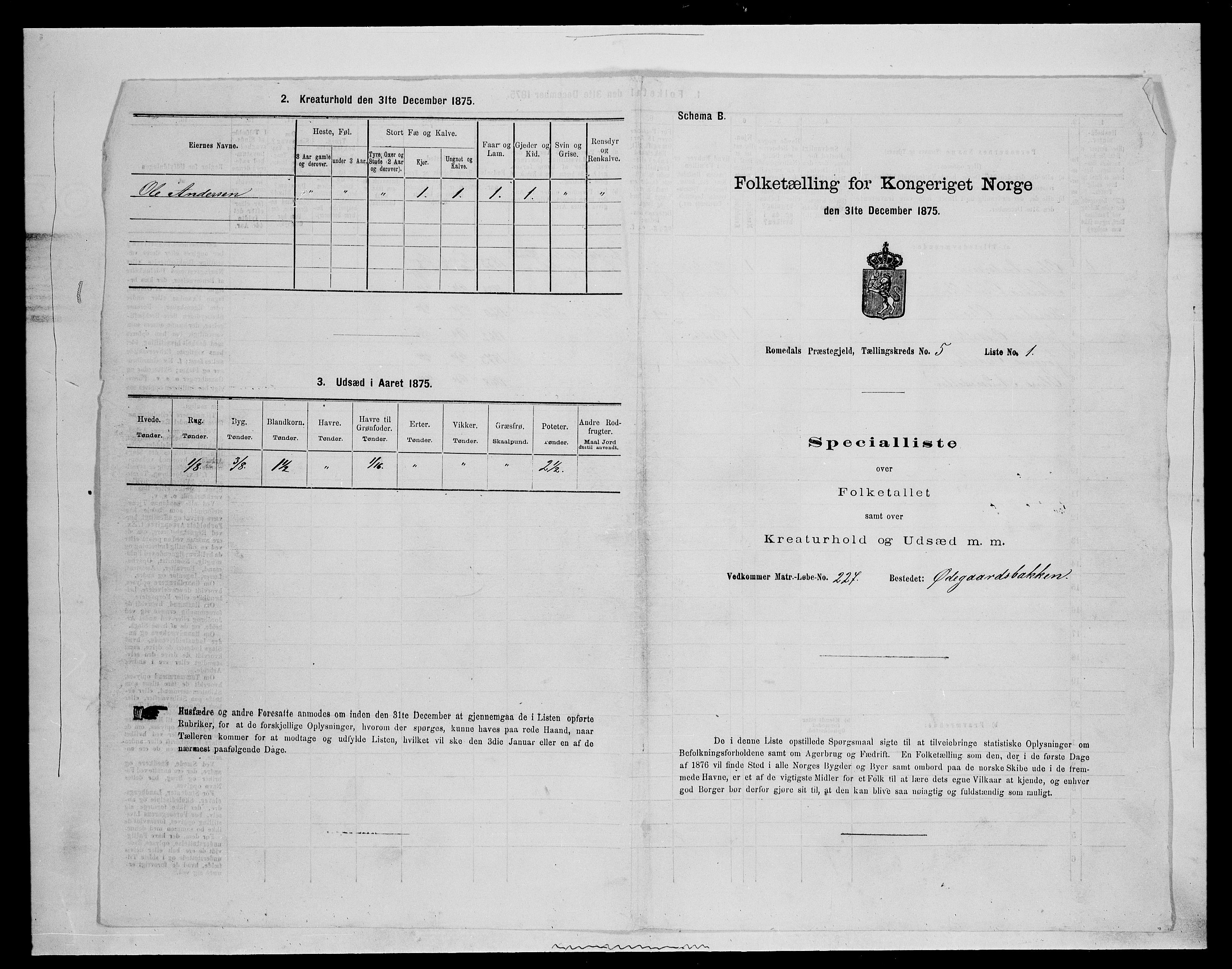 SAH, 1875 census for 0416P Romedal, 1875, p. 717