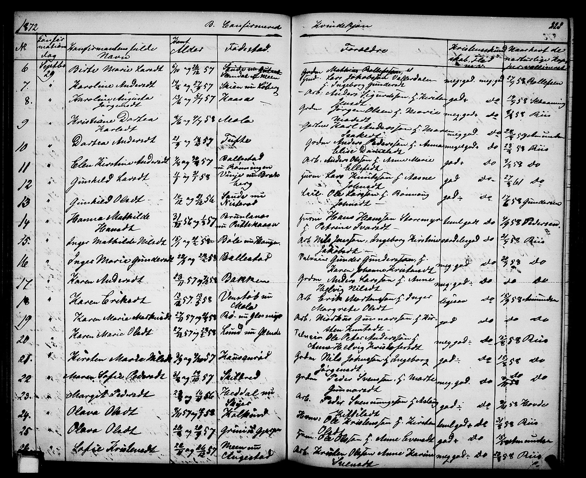 Gjerpen kirkebøker, SAKO/A-265/G/Ga/L0001: Parish register (copy) no. I 1, 1864-1882, p. 228