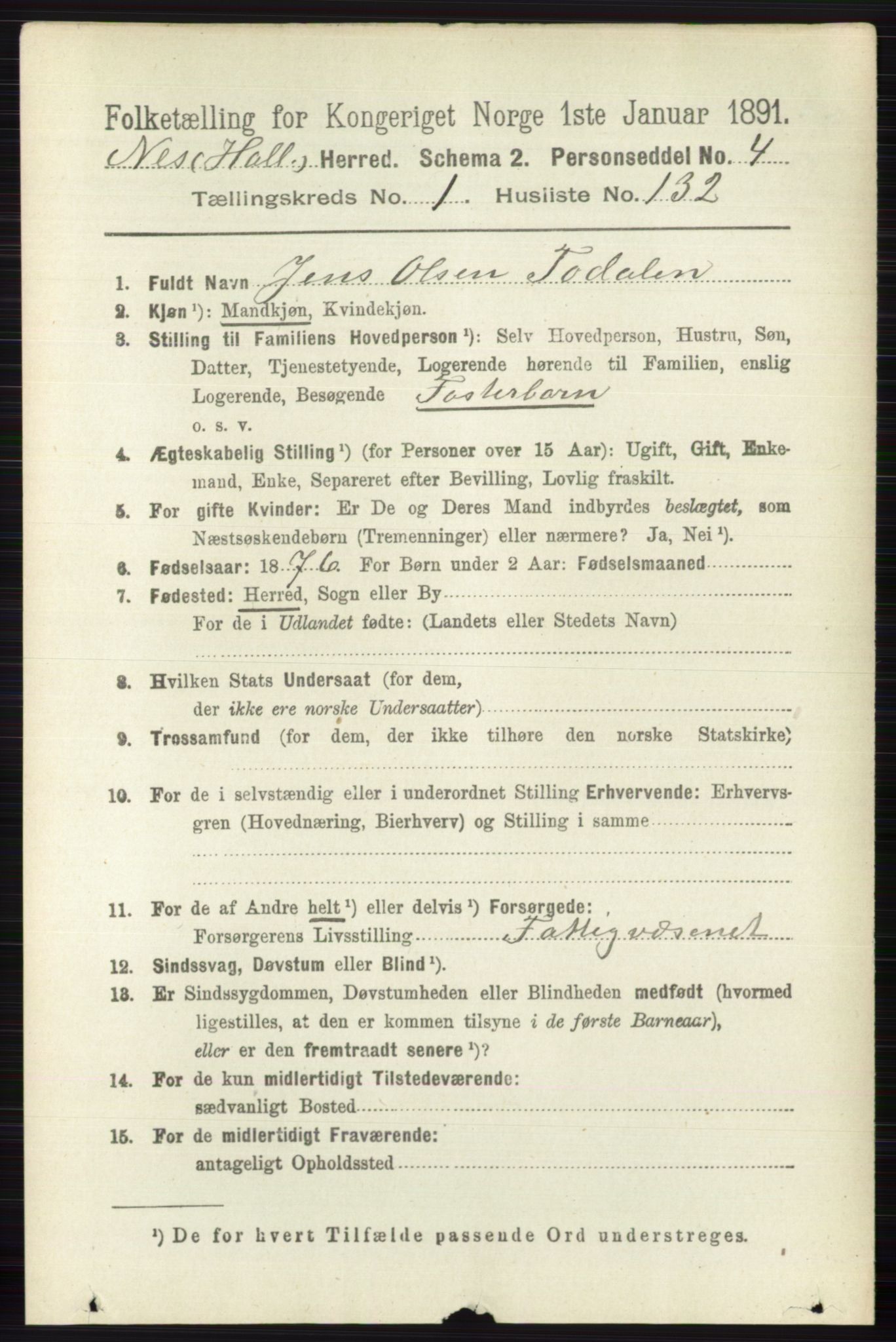 RA, 1891 census for 0616 Nes, 1891, p. 900